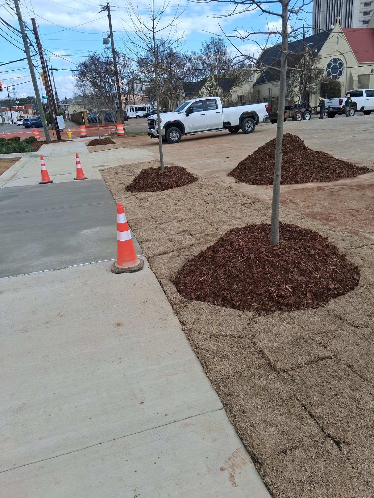 Municipal Sidewalk Construction and Streetscape Landscaping in Downtown Montgomery by BTops Landscaping Inc.
