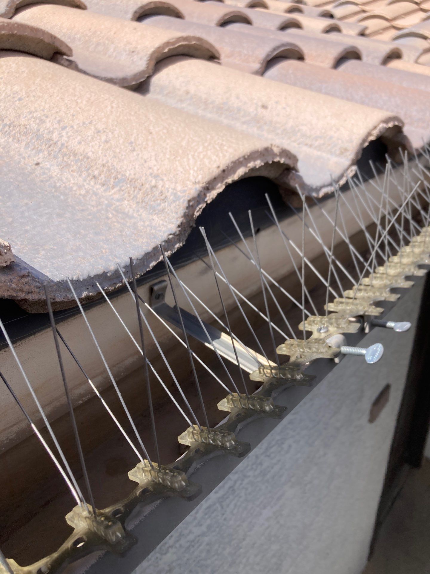 Commercial gutter cleaning Georgia after photo with clean gutters