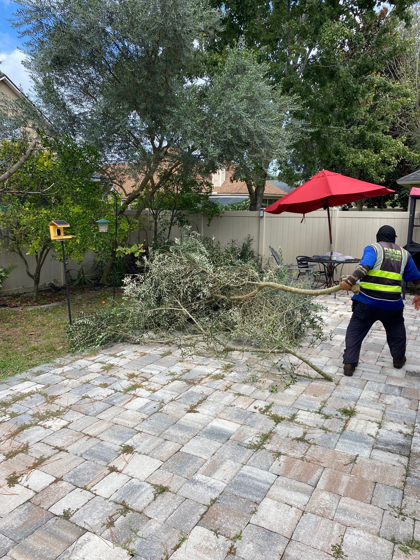 Property Clean Up | Residential by ProGreen Services