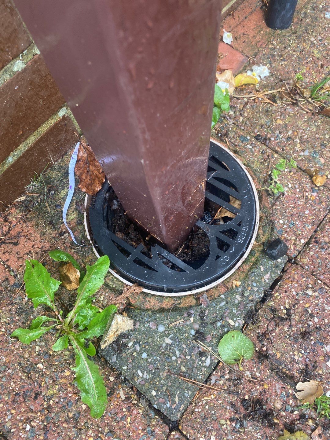 Roof Clean - Moss Removal using Honda 15lpm Low Pressure Washing Machine by Ges Exterior Cleaning ltd
