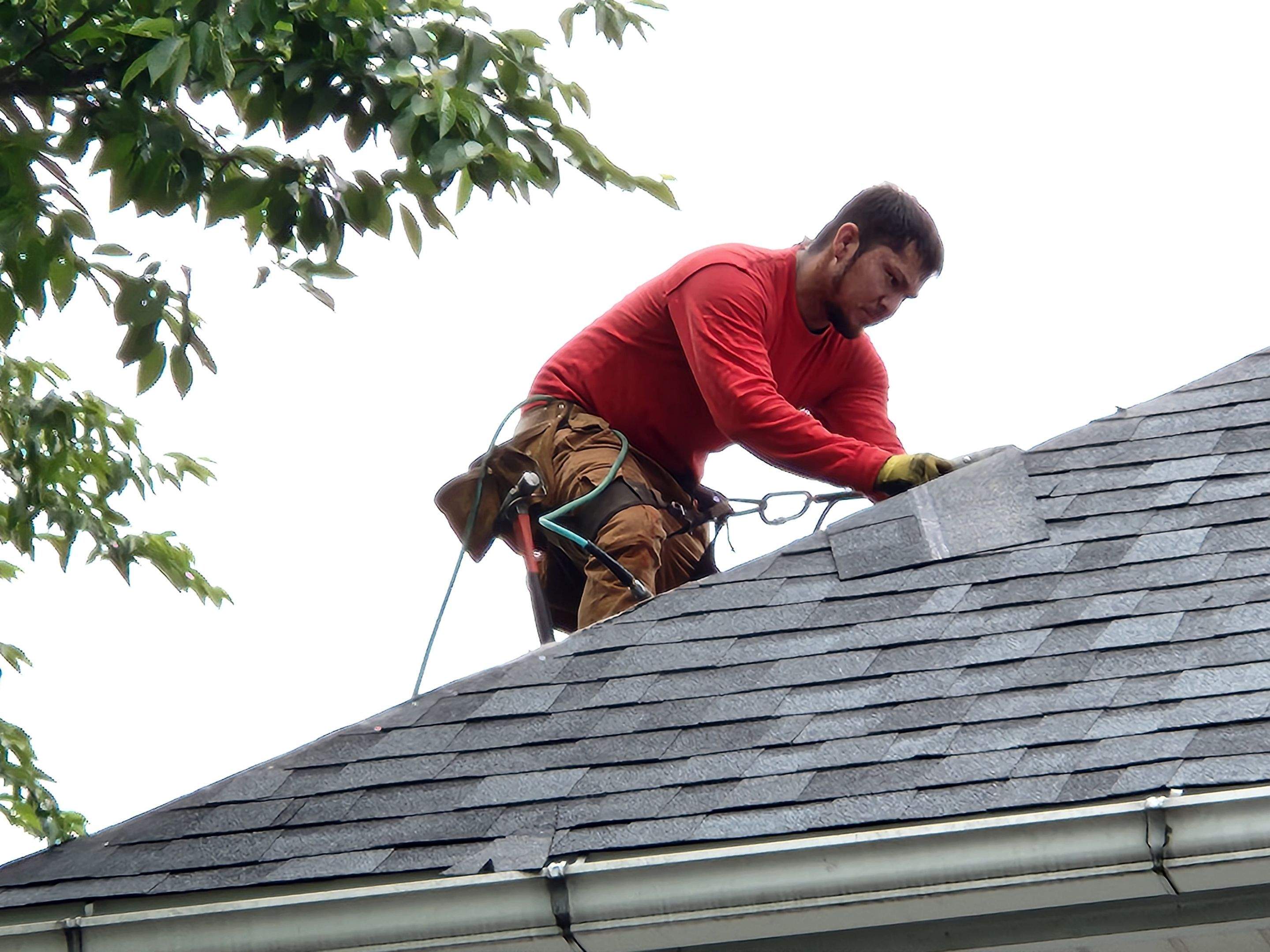 Project by Elvis General Construction LLC by Elvis General Construction LLC