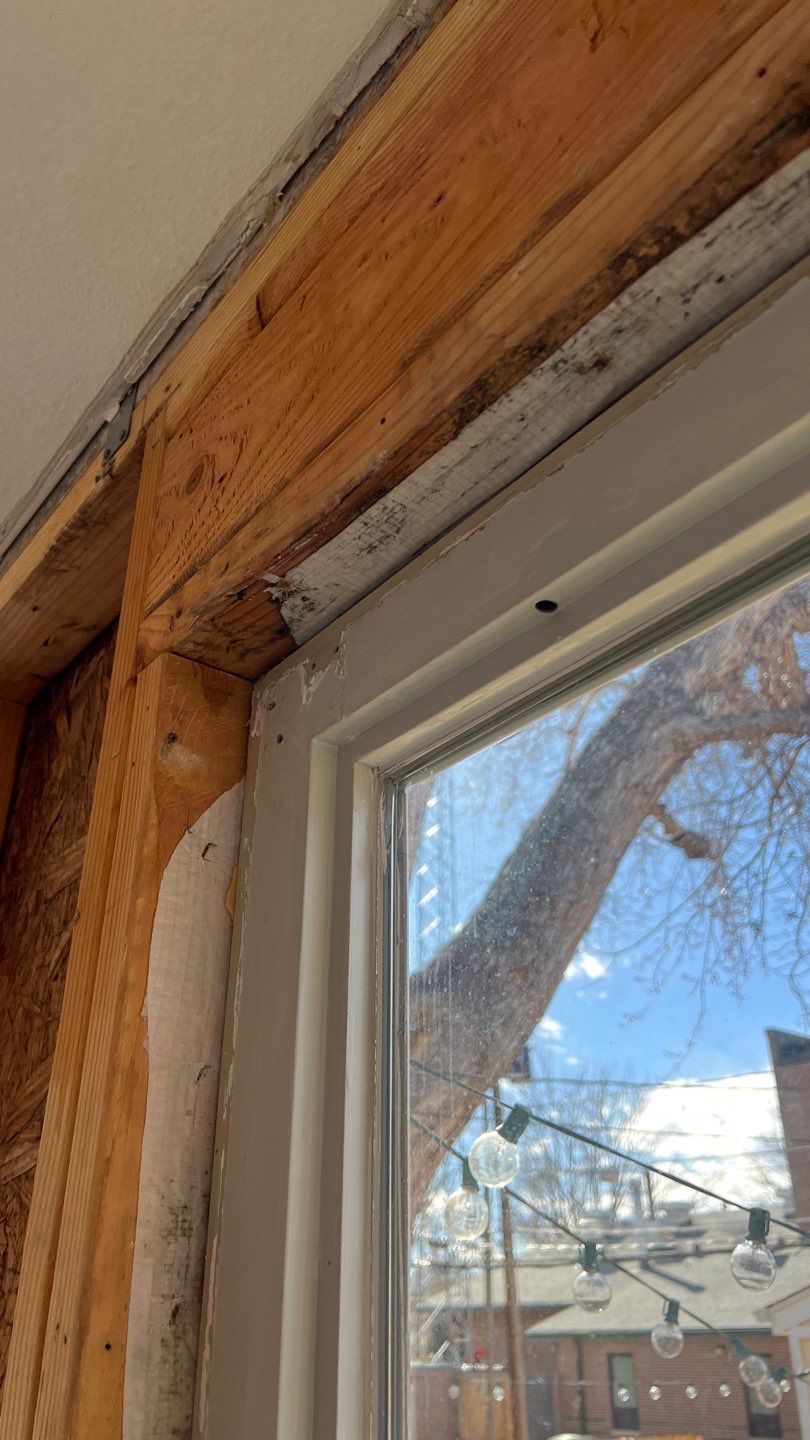 Mold Remediation  by Accountable Home Services