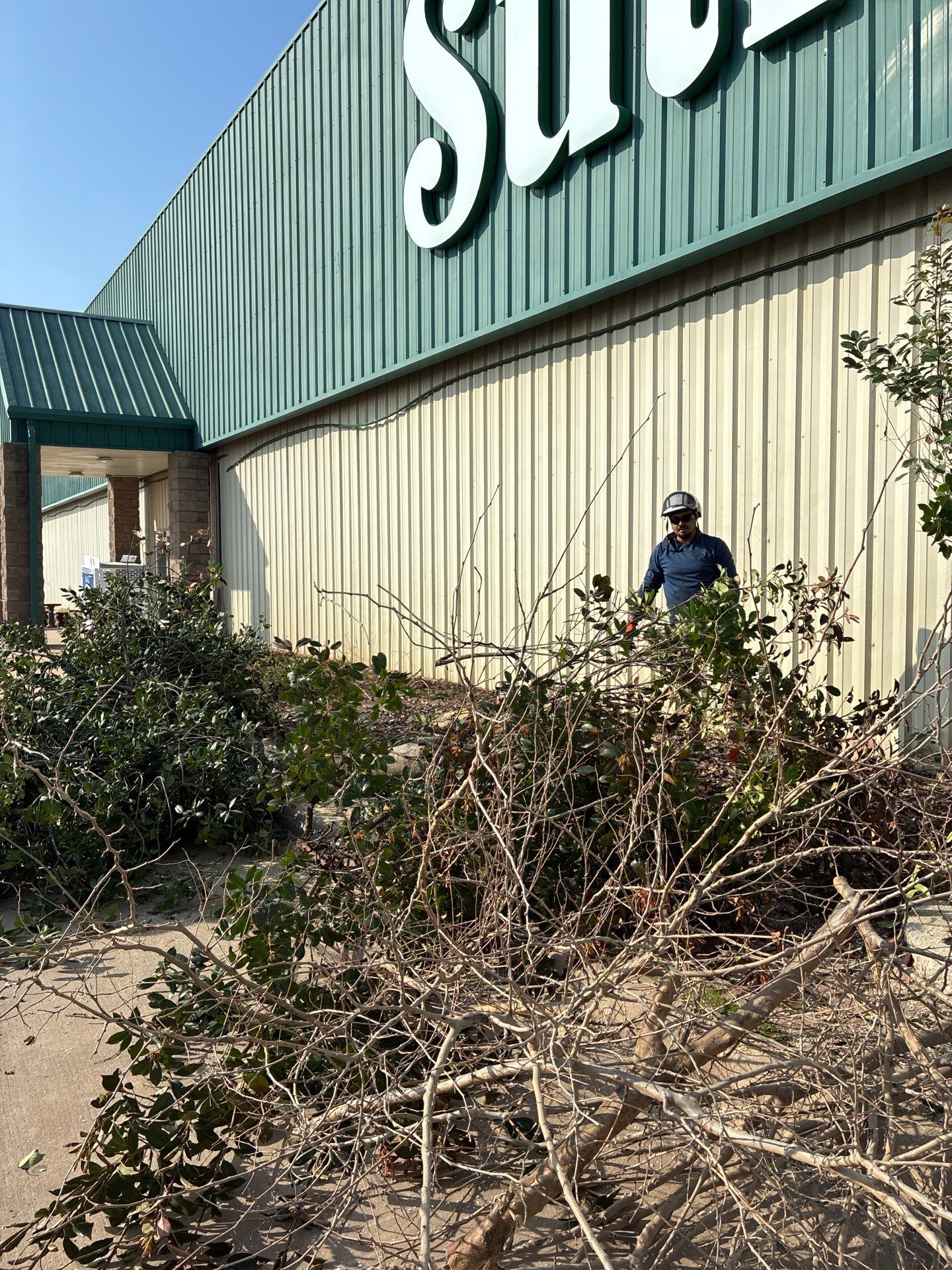 Shrub Removal by Clays Services Inc