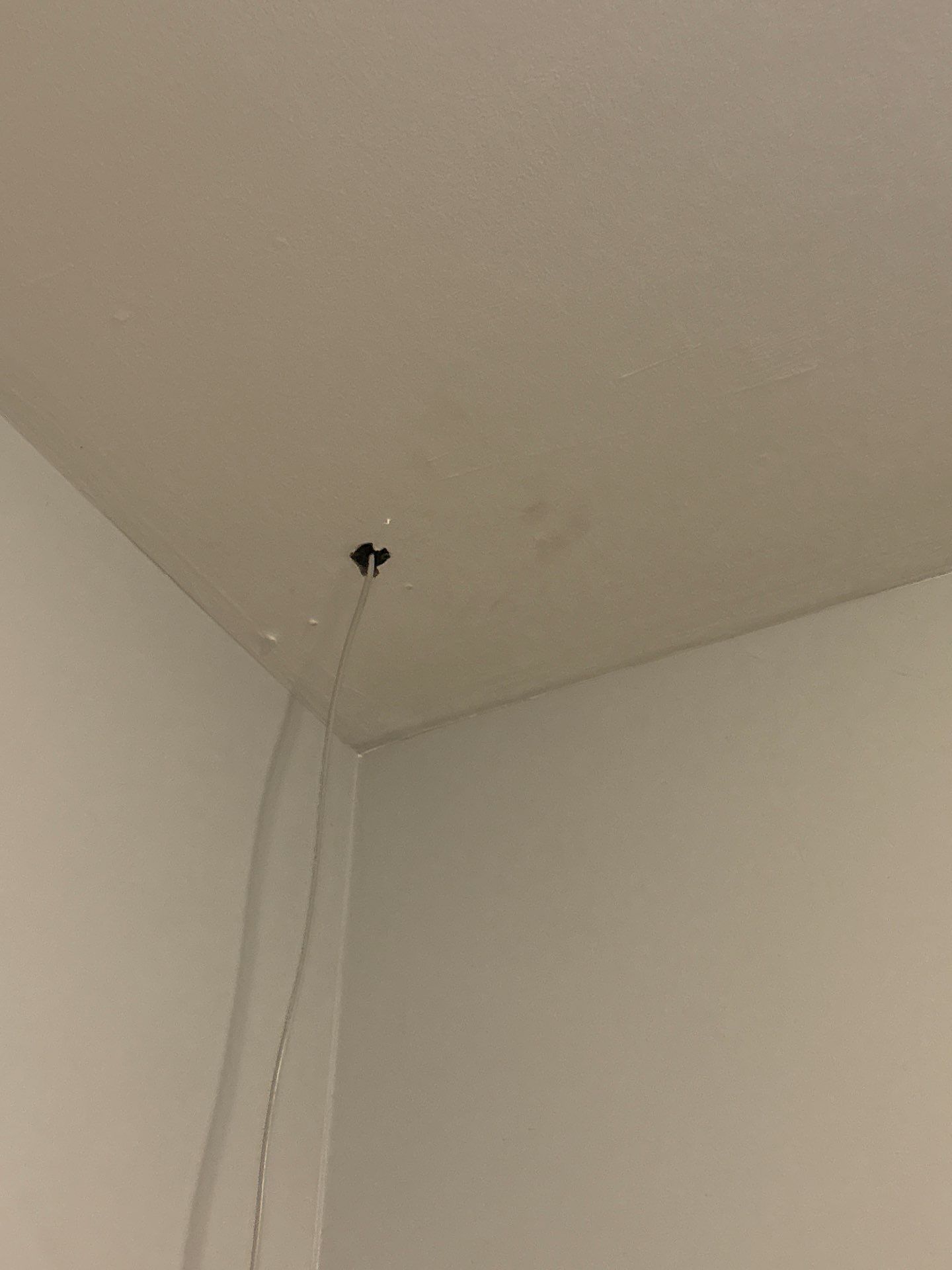 Interior Ceiling and Drywall Repair in Denver by CompanyCam Sales Demo