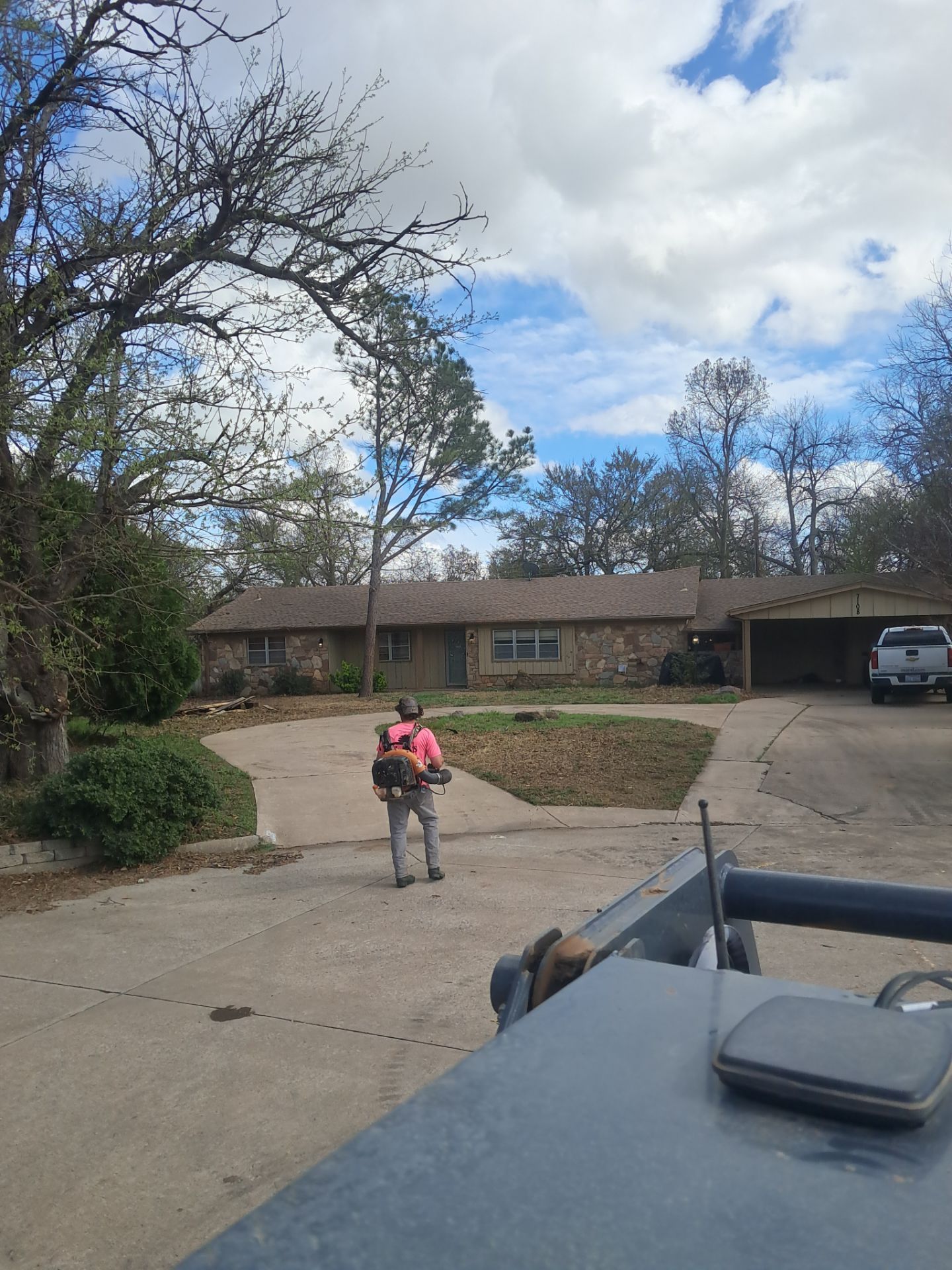 Tree Removal by Clays Services Inc