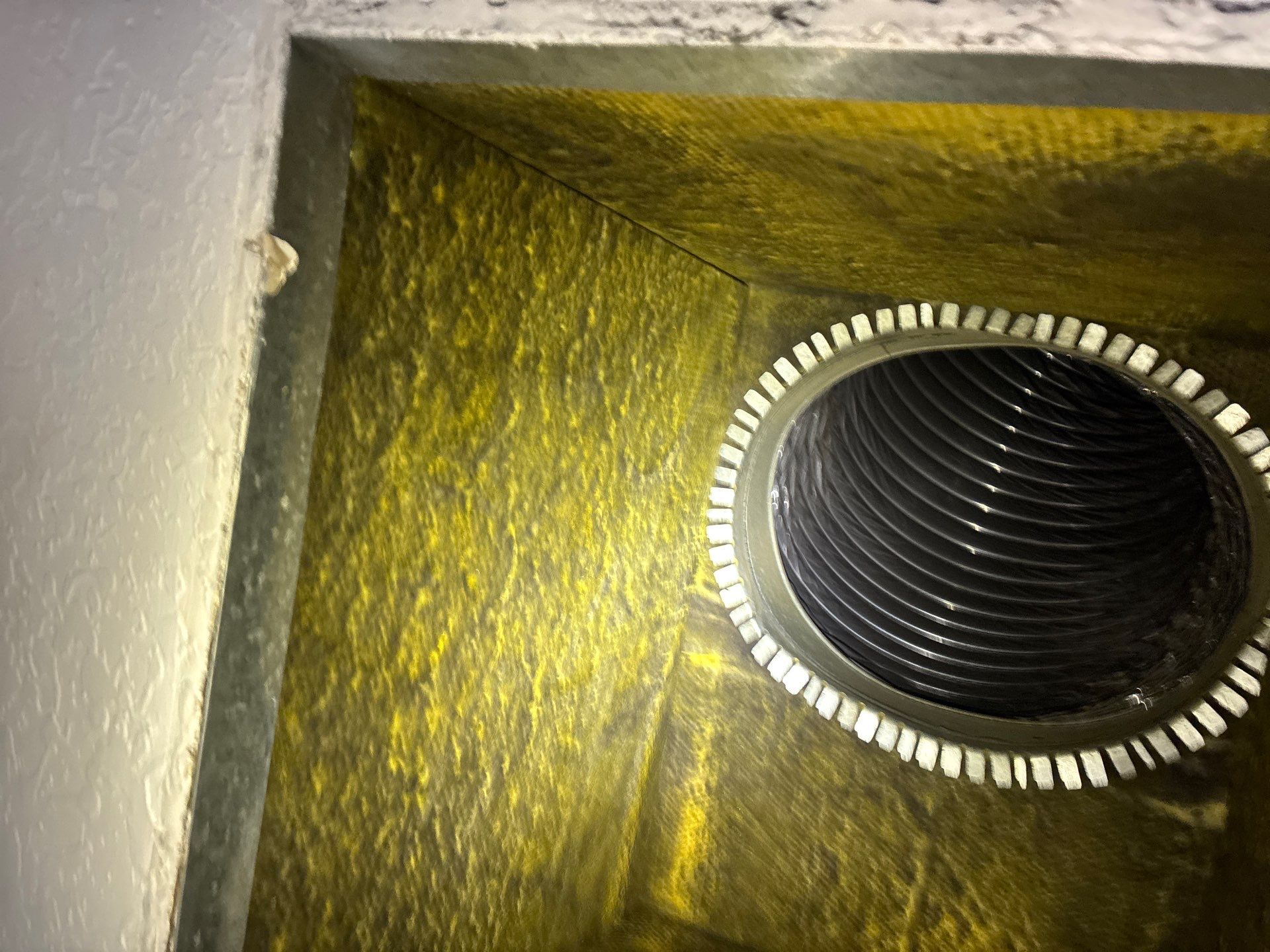 AIr Duct Cleaning in Clermont by Hygienic Air, Inc