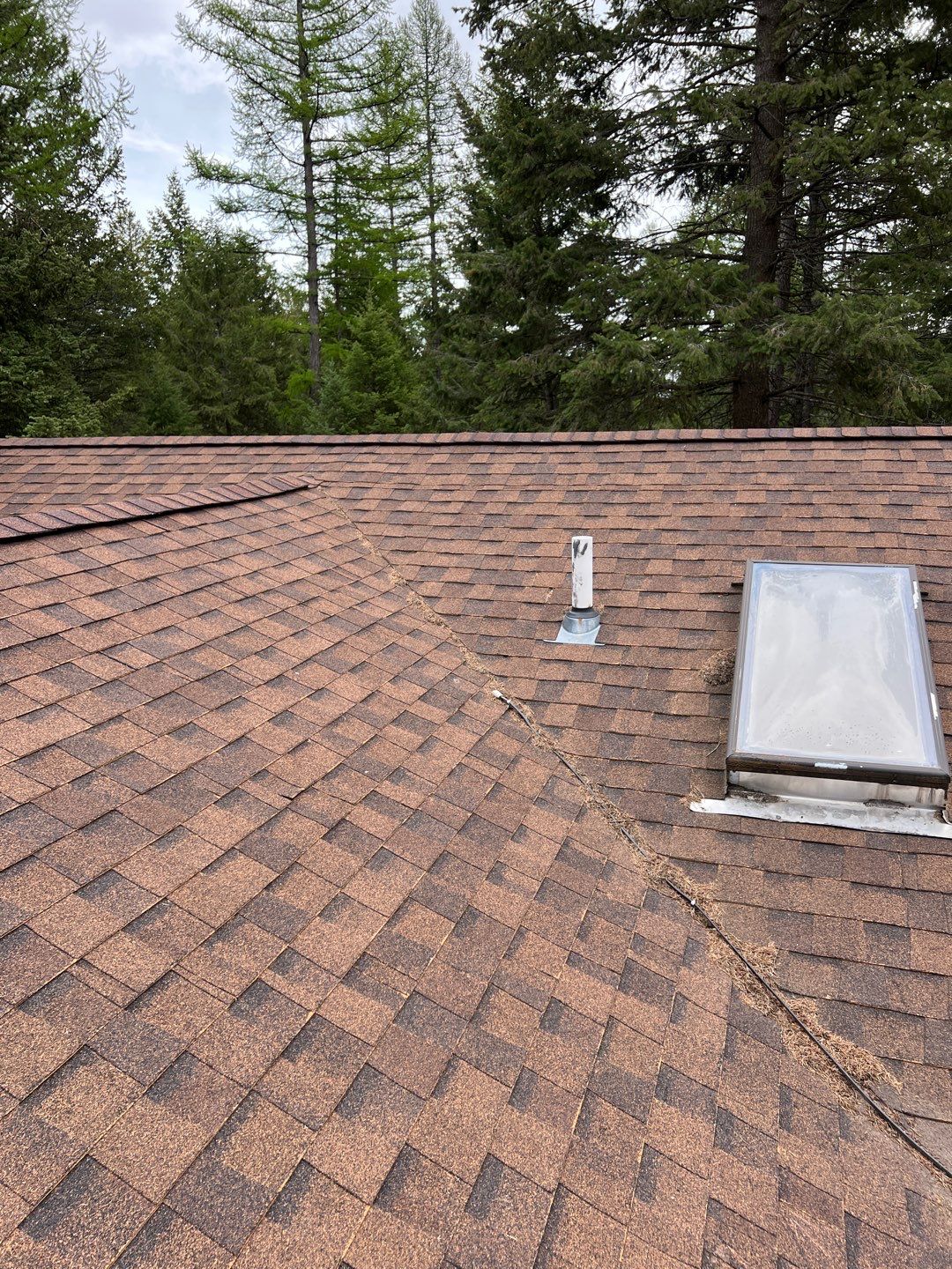 GAF Timberline HDZ - Hunter Green by Montana Roofing Solutions