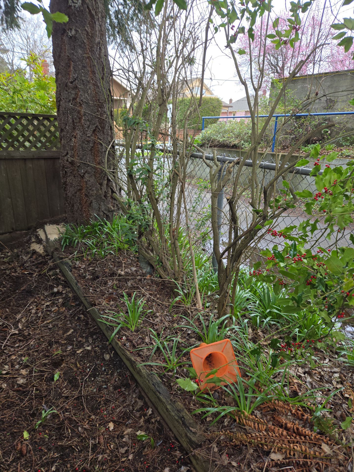 Complete backyard transformation by Habanero Garden and Exterior Care