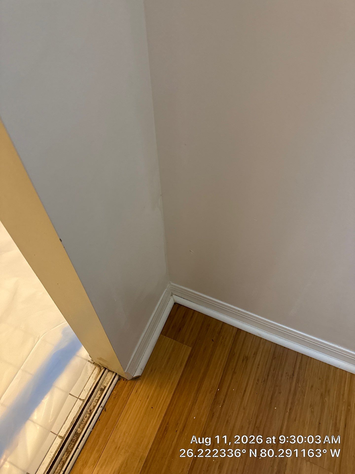 Comprehensive Mold Remediation and Moisture Control in Tamarac by SuperClean