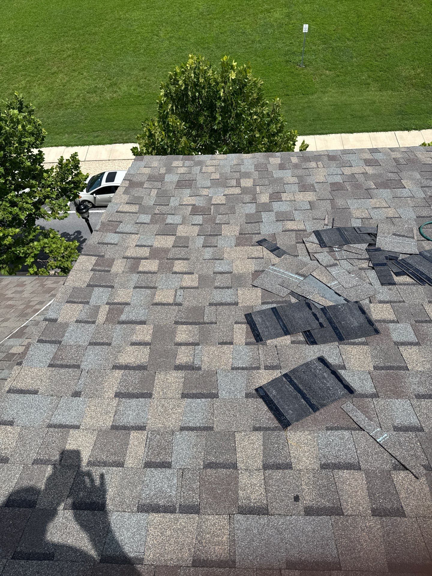 New Shingle Roof Installation  by Alpha Design Services