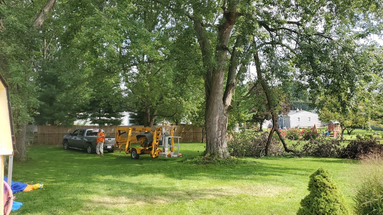 Tree Removal by Mike Jones & Sons Tree Service LLC 