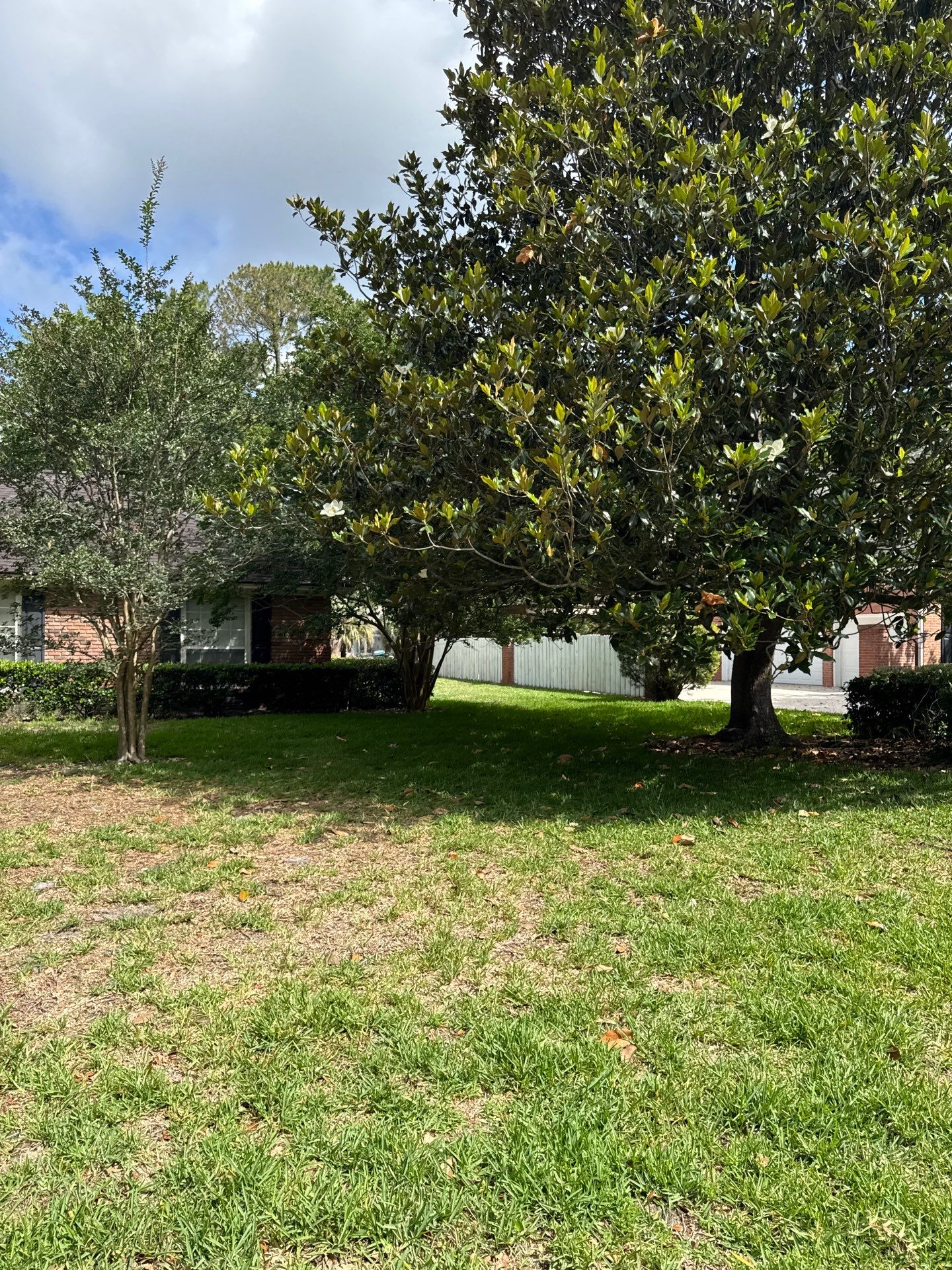 Deerwood Resident | Tree Trimming by ProGreen Services