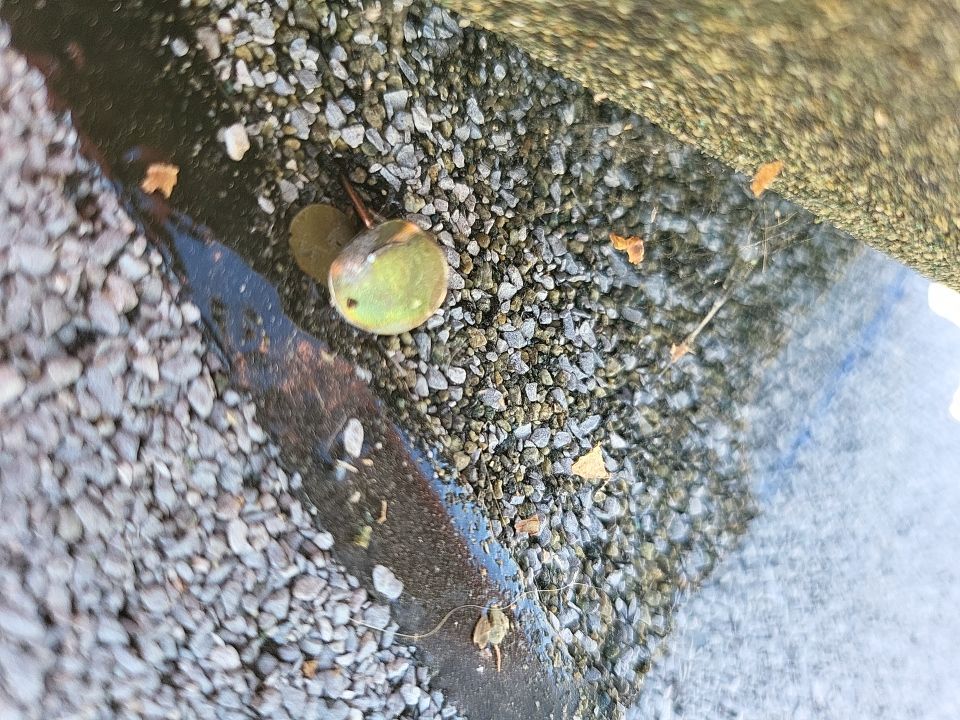 Nampa Idaho Residential Roofing Installation using Owens Corning by ID Roofing LLC