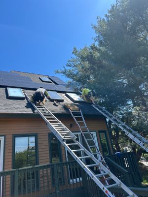 Skylights | Acton