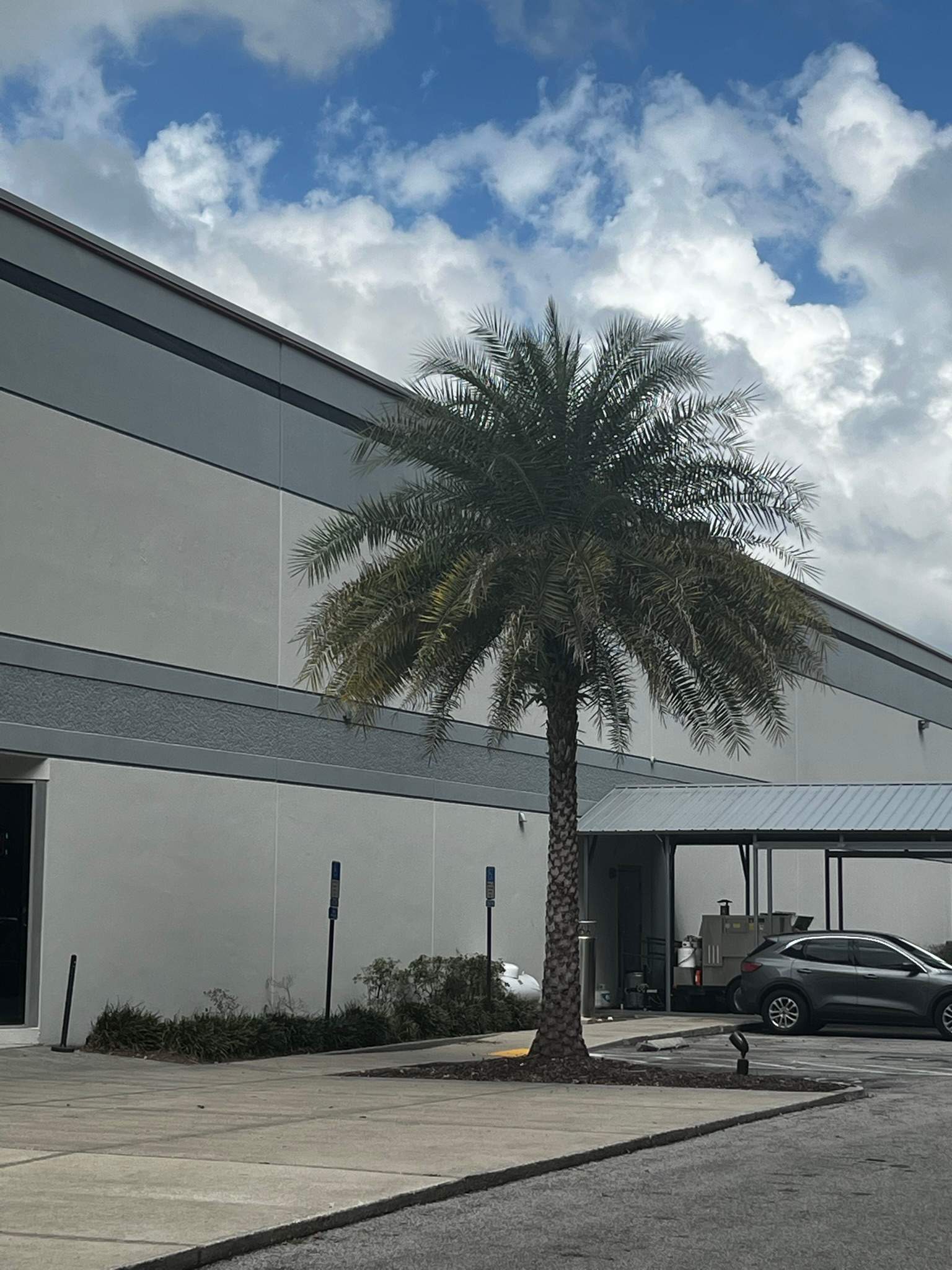 Tree Trimming | Autobahn Raceway by ProGreen Services