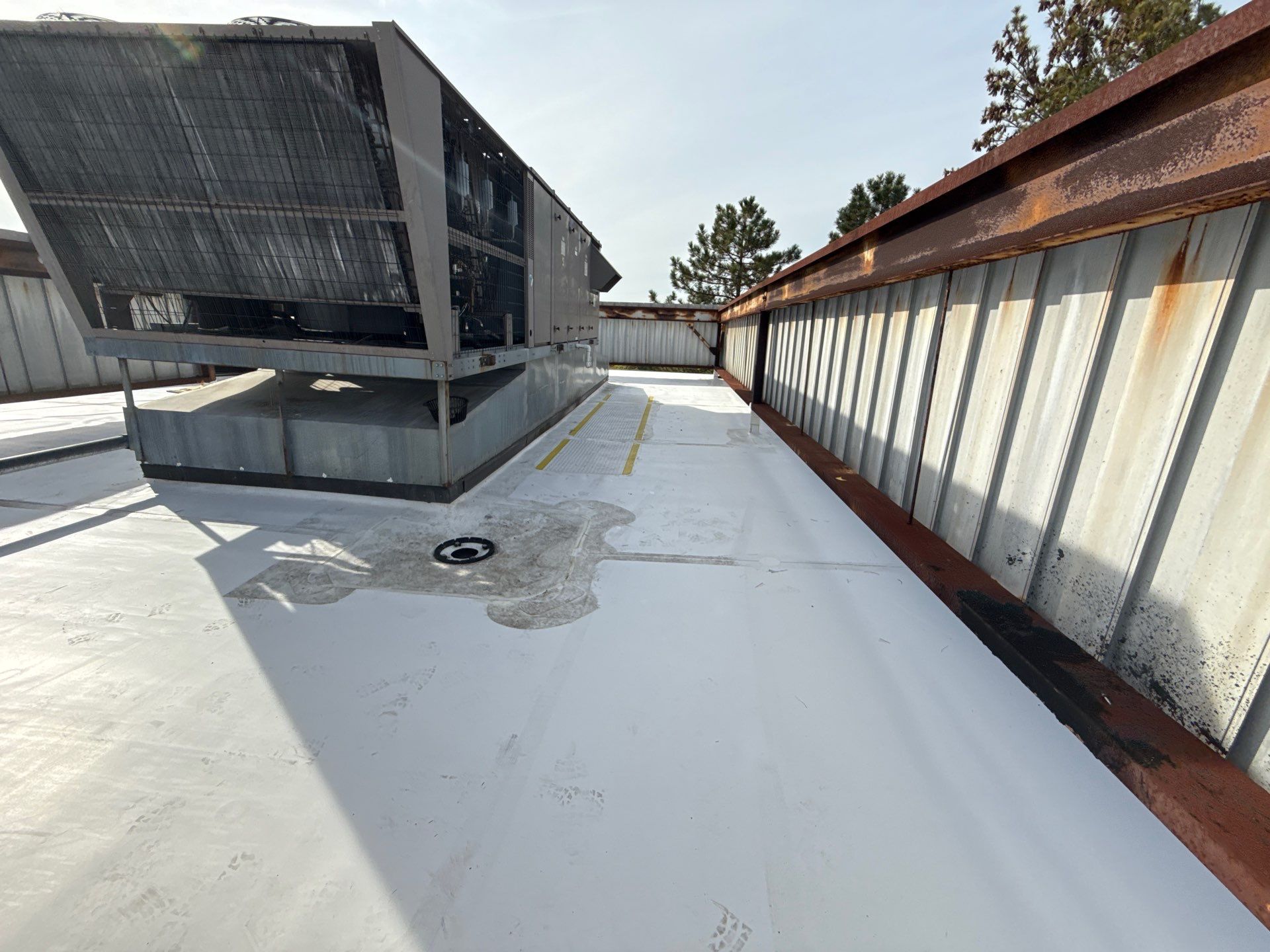 Commercial Roof Replacement – TPO Rhinobond System Installed at TD Bank by All Site Roofing