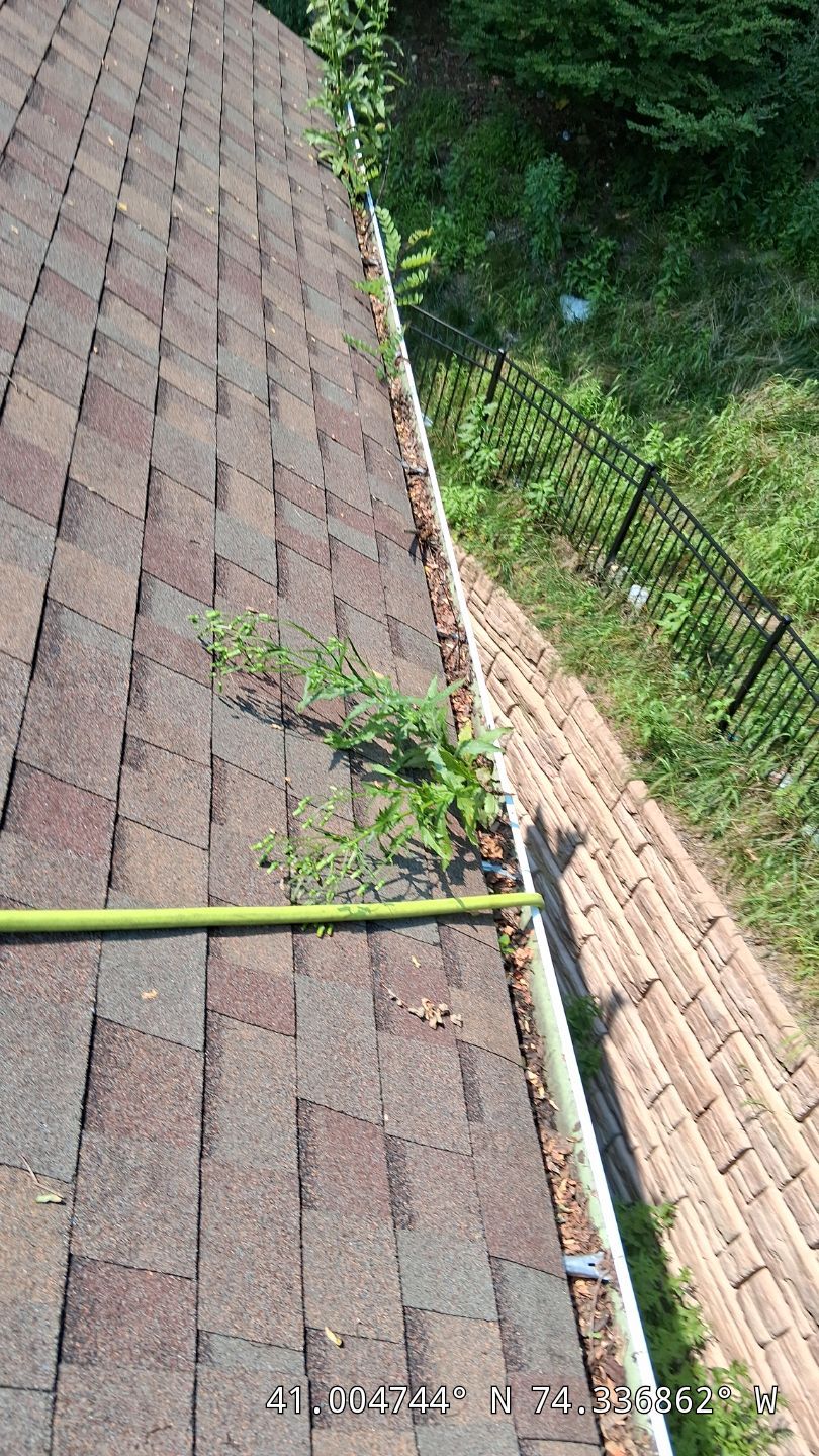 Comprehensive Gutter Cleaning and Debris Removal in Butler by NJ Home Maintenance Services