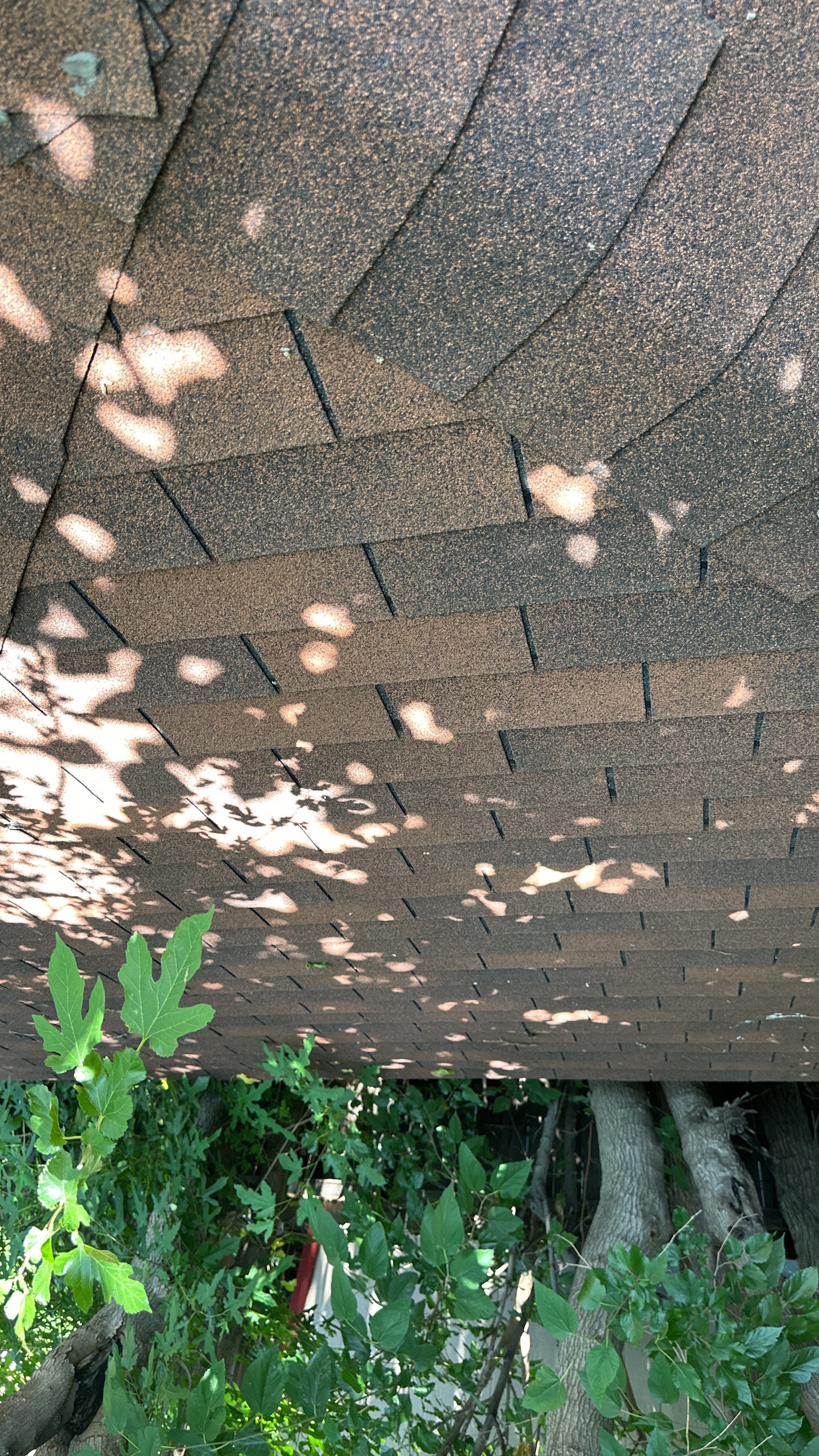 Residential Installation using Owens Corning by Castillo Roofing