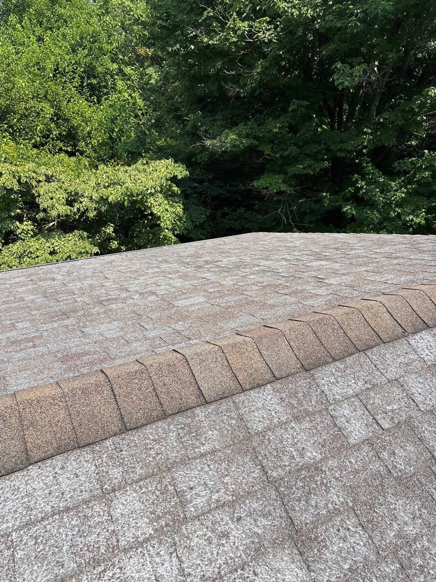Landmark Pro - Shenandoah by Winchester Roofing