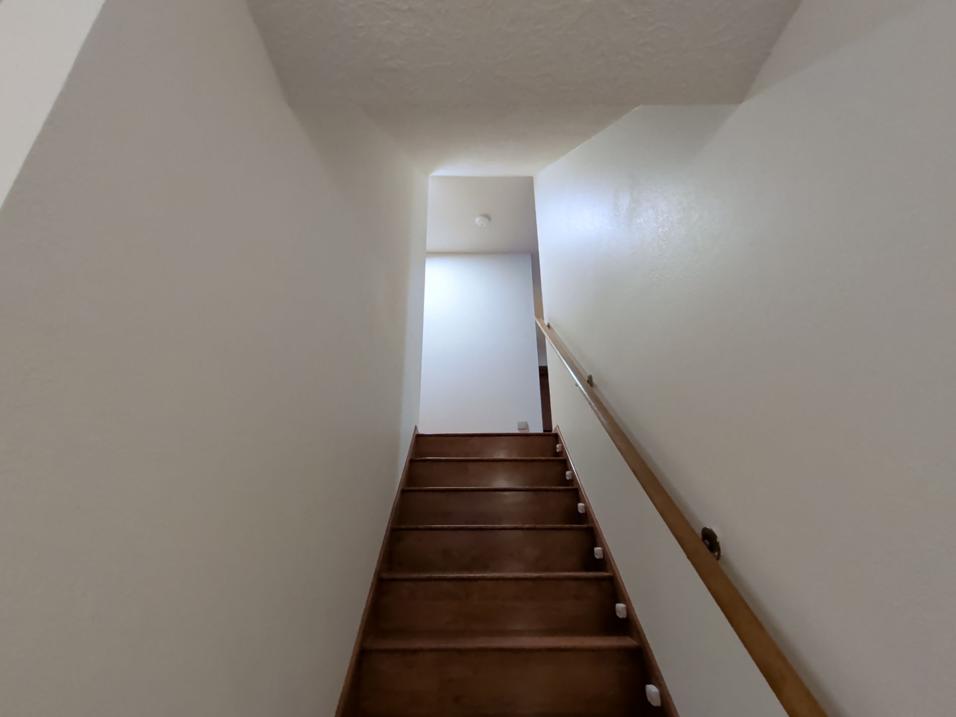 Gorgeous Whole Home Repaint! by Midnight Sun Painting