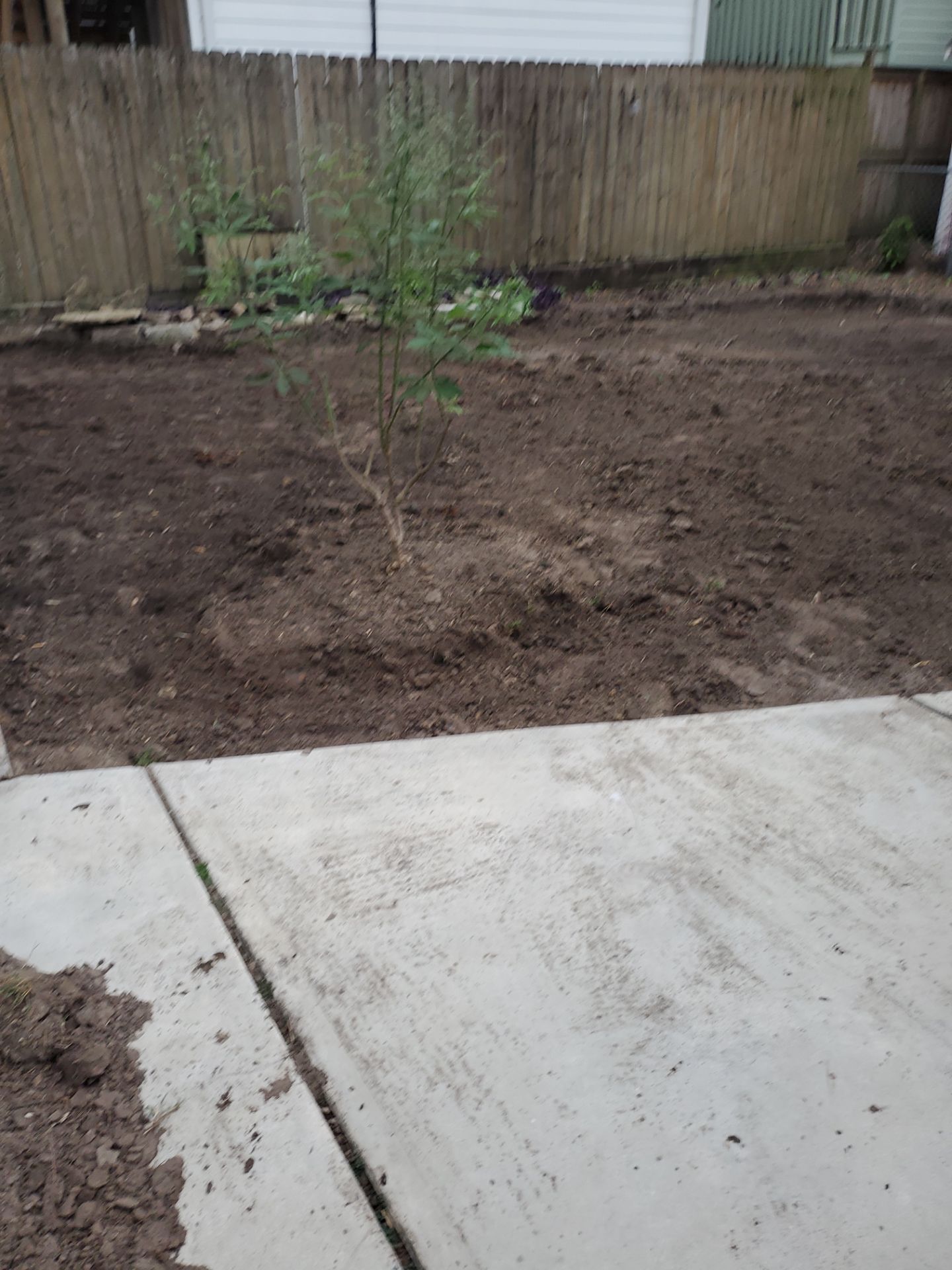 Structural Fix & Style Upgrade: Total Backyard Transformation for Mrs. Lappe! š”š³ by Texas Urban Elements