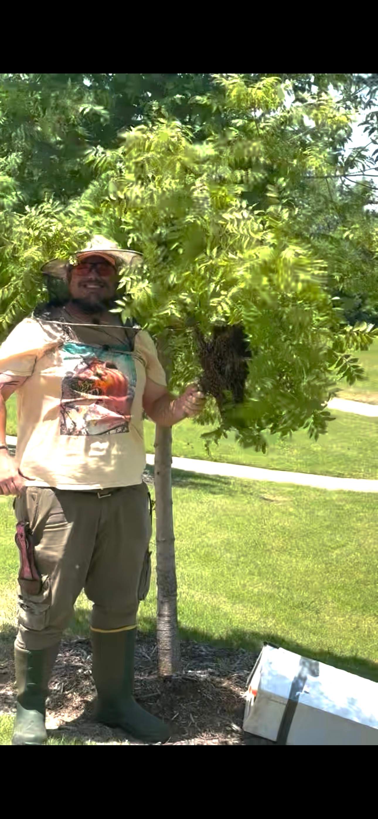 Swarm on a Branch by Rockwall Honey Bee Company