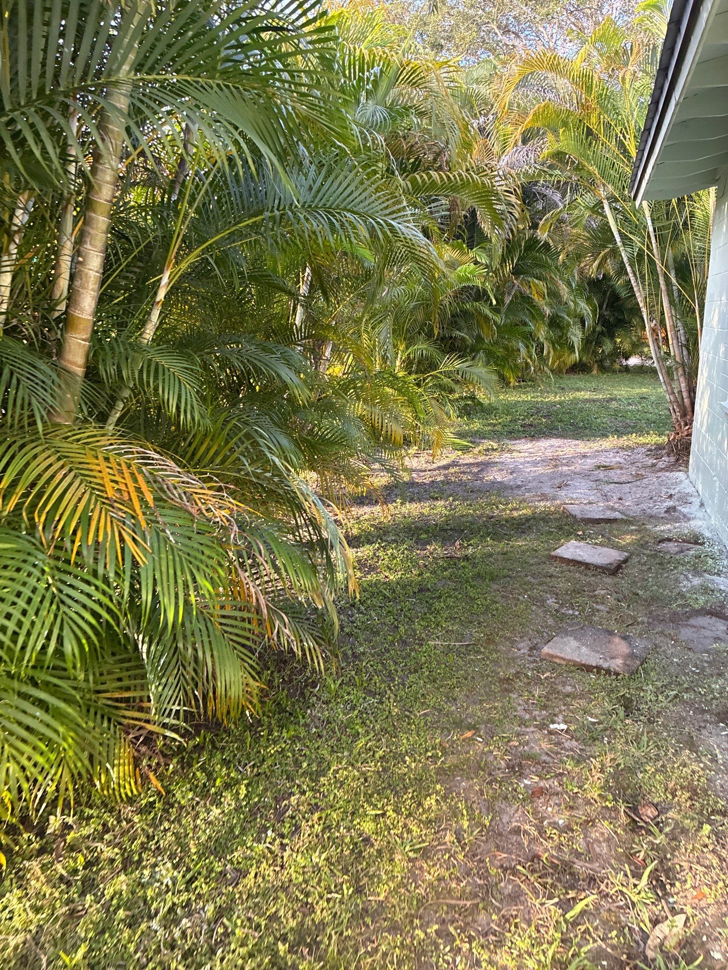 🏡 Pre-Sale Property Cleanup in Old Palm City, FL by Alpha Zeta Enterprises Inc