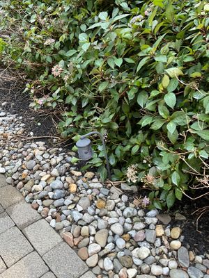 Gutter Cleaning in Succasunna, NJ — Gallo Bros job photo
