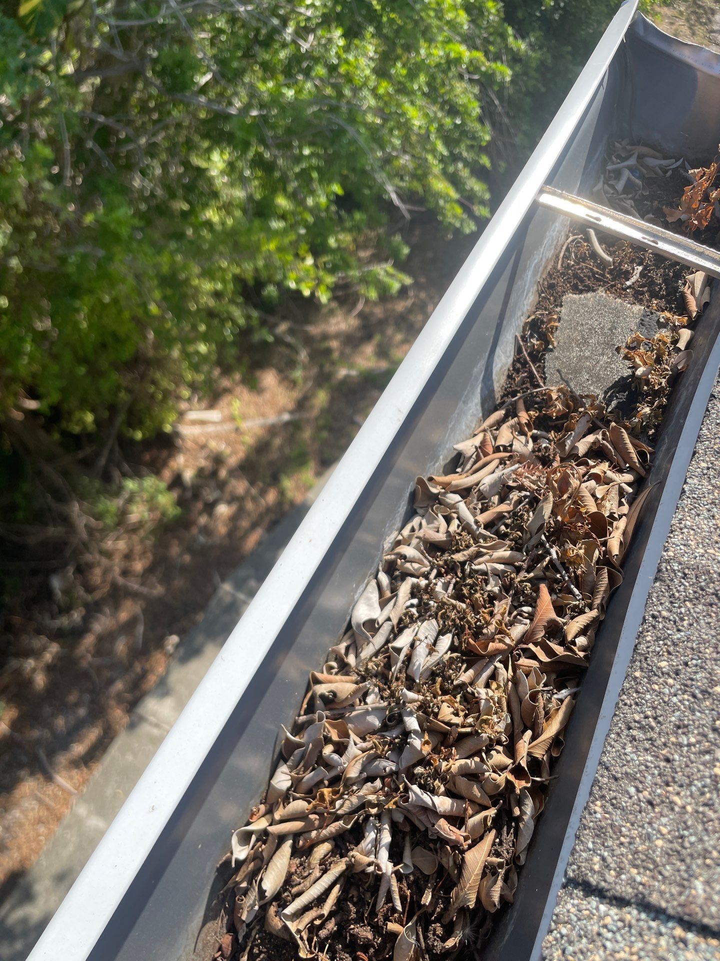 Commercial gutter cleaning Georgia before photo with filled gutters