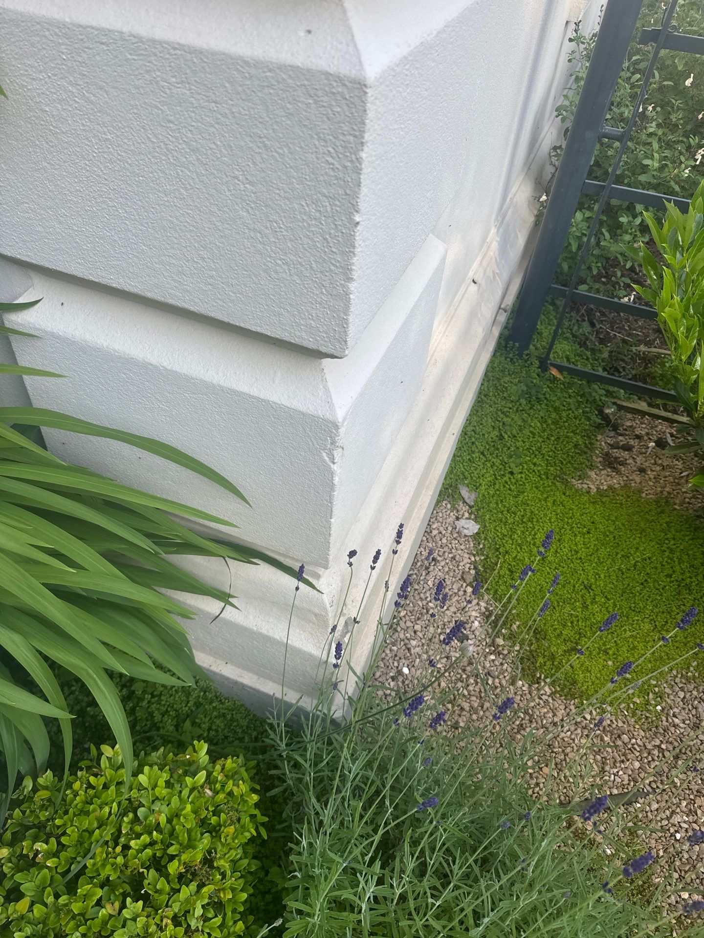 Render Clean using Honda 15lpm Low Pressure Washing Machine by Ges Exterior Cleaning ltd