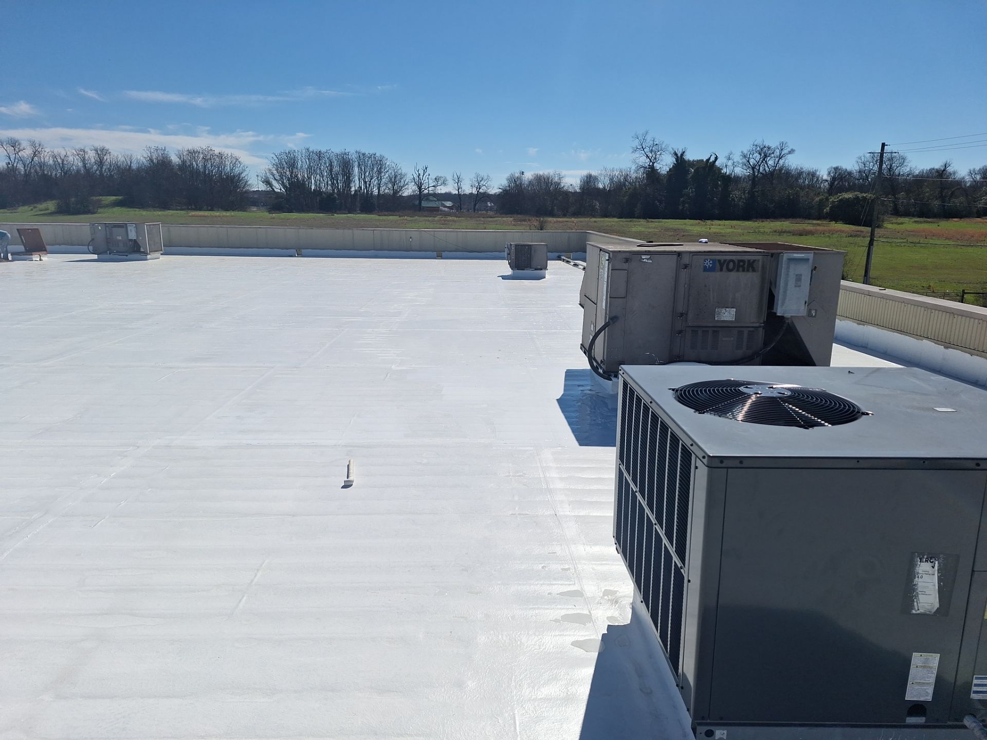 E&S Mens Warehouse  by iGreen Solutions