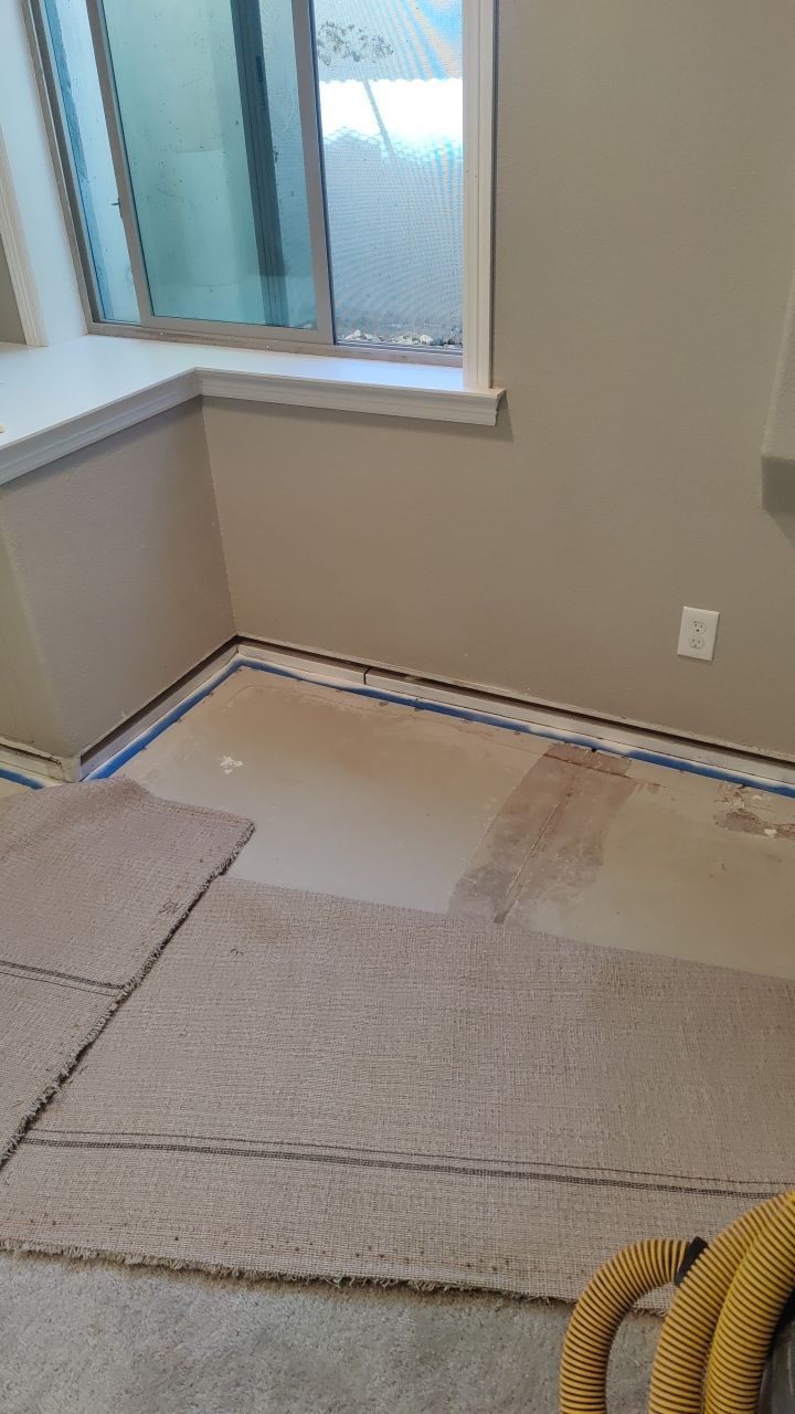 Mold Remediation  by Accountable Home Services