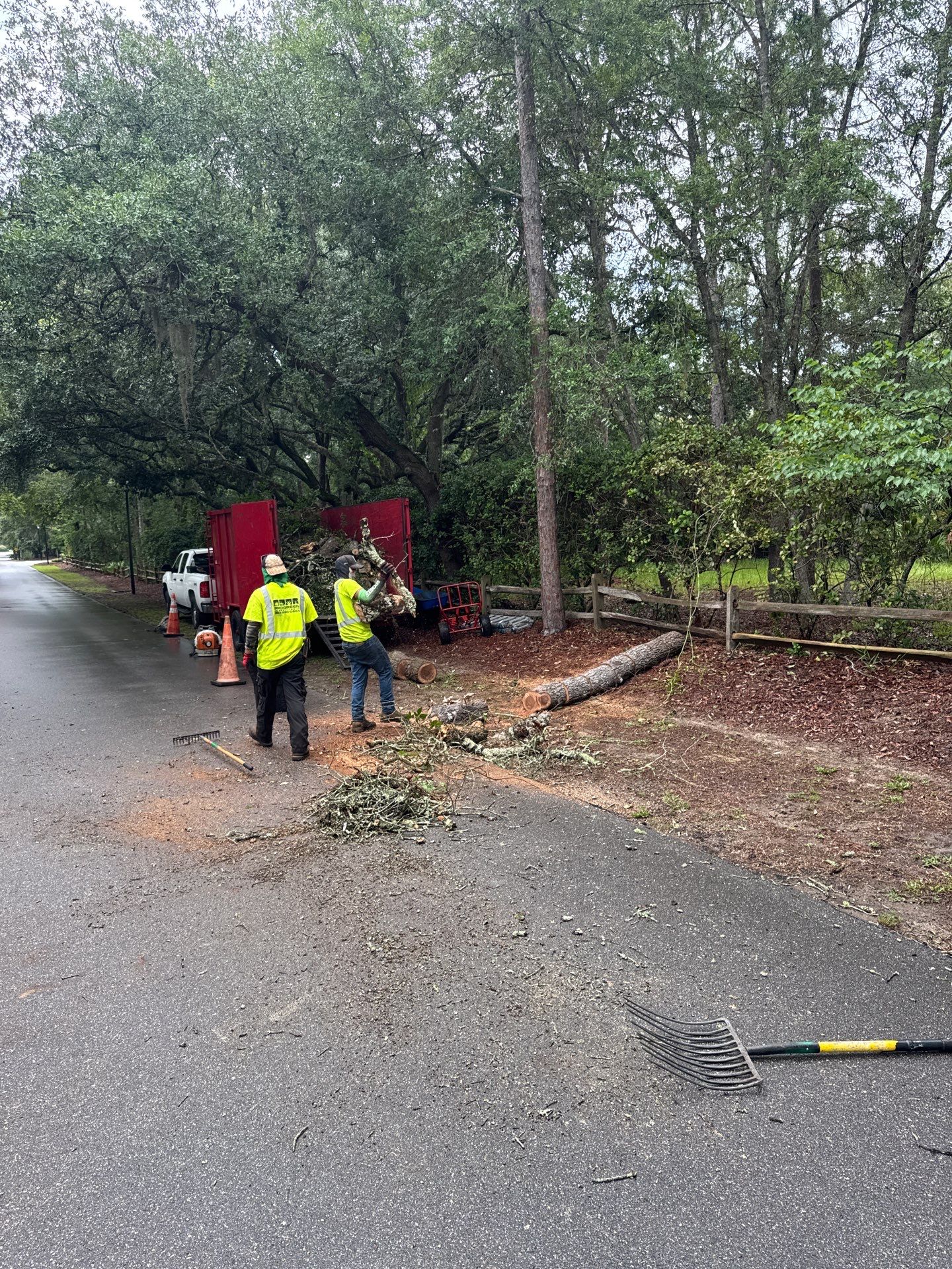 Deerwood Resident | Tree Removal & Trimming by ProGreen Services