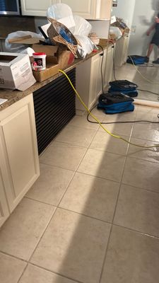 Emergency Water Extraction — Estero, FL