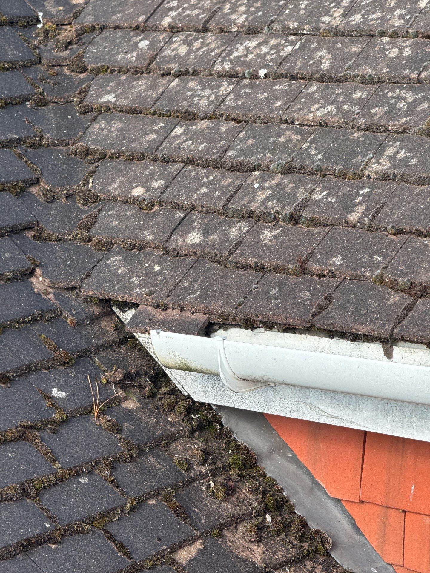 Roof Clean - Moss Removal - Gutter Clean using Honda 15lpm Low Pressure Washing Machine by Ges Exterior Cleaning ltd