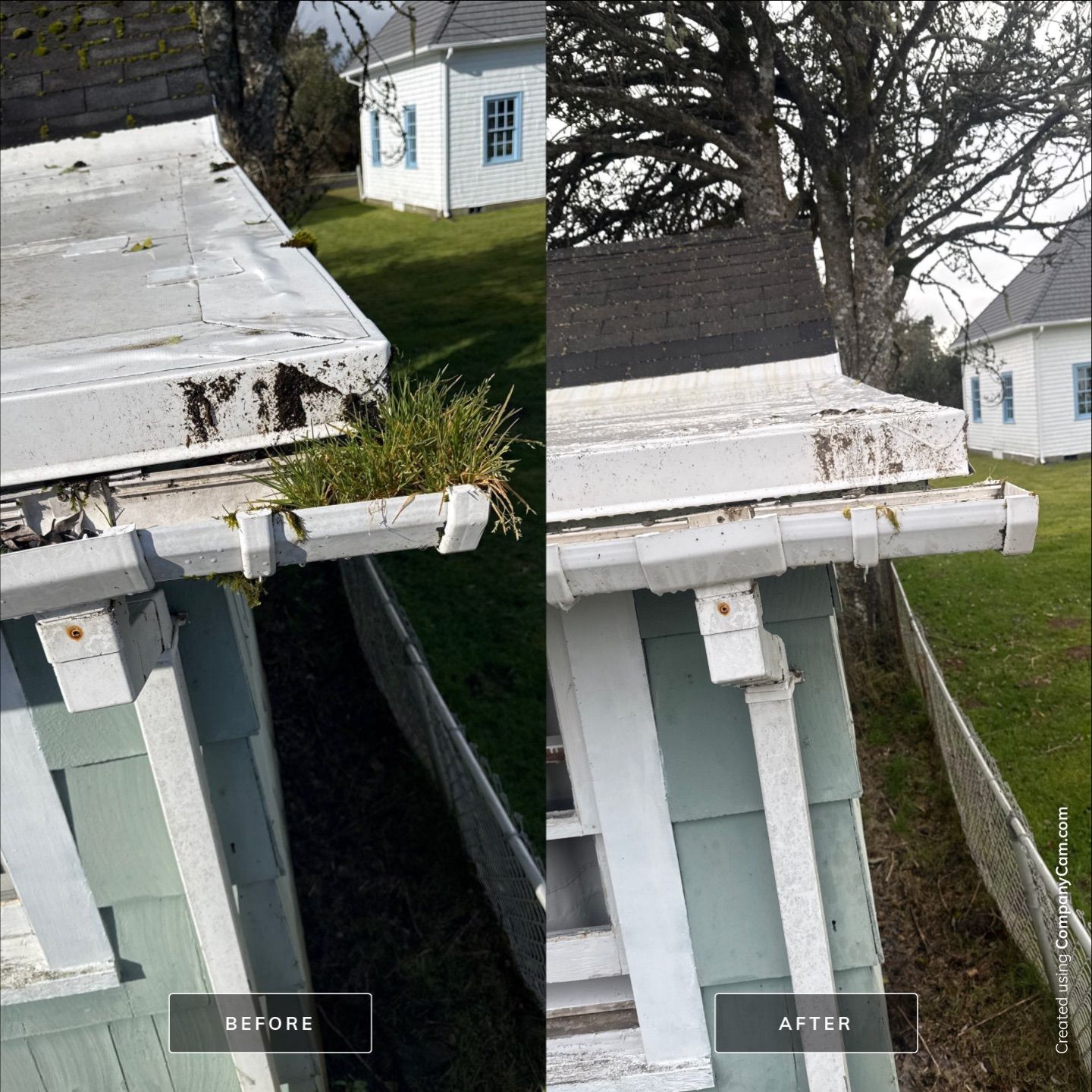 Roof Moss Eliminated - Hammond by Rolling Suds of Oregon Coast – Salem