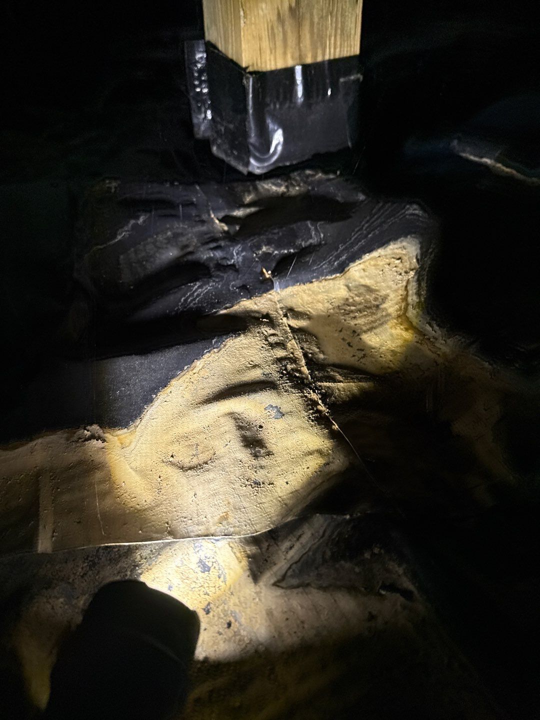 Bathroom and Crawlspace Water Damage and Mold by Healthy Home Solutions