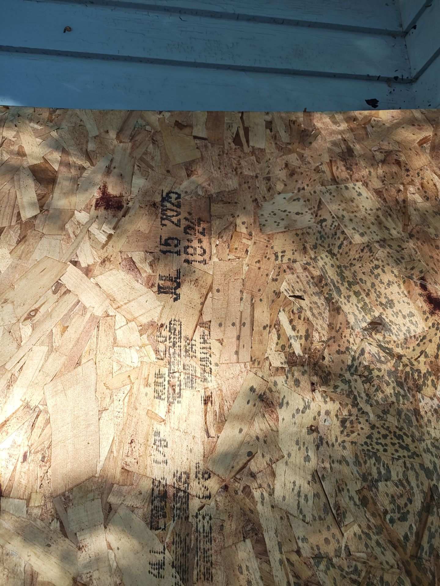 FORTIFIED ROOF in Rochester by Forever Fortified