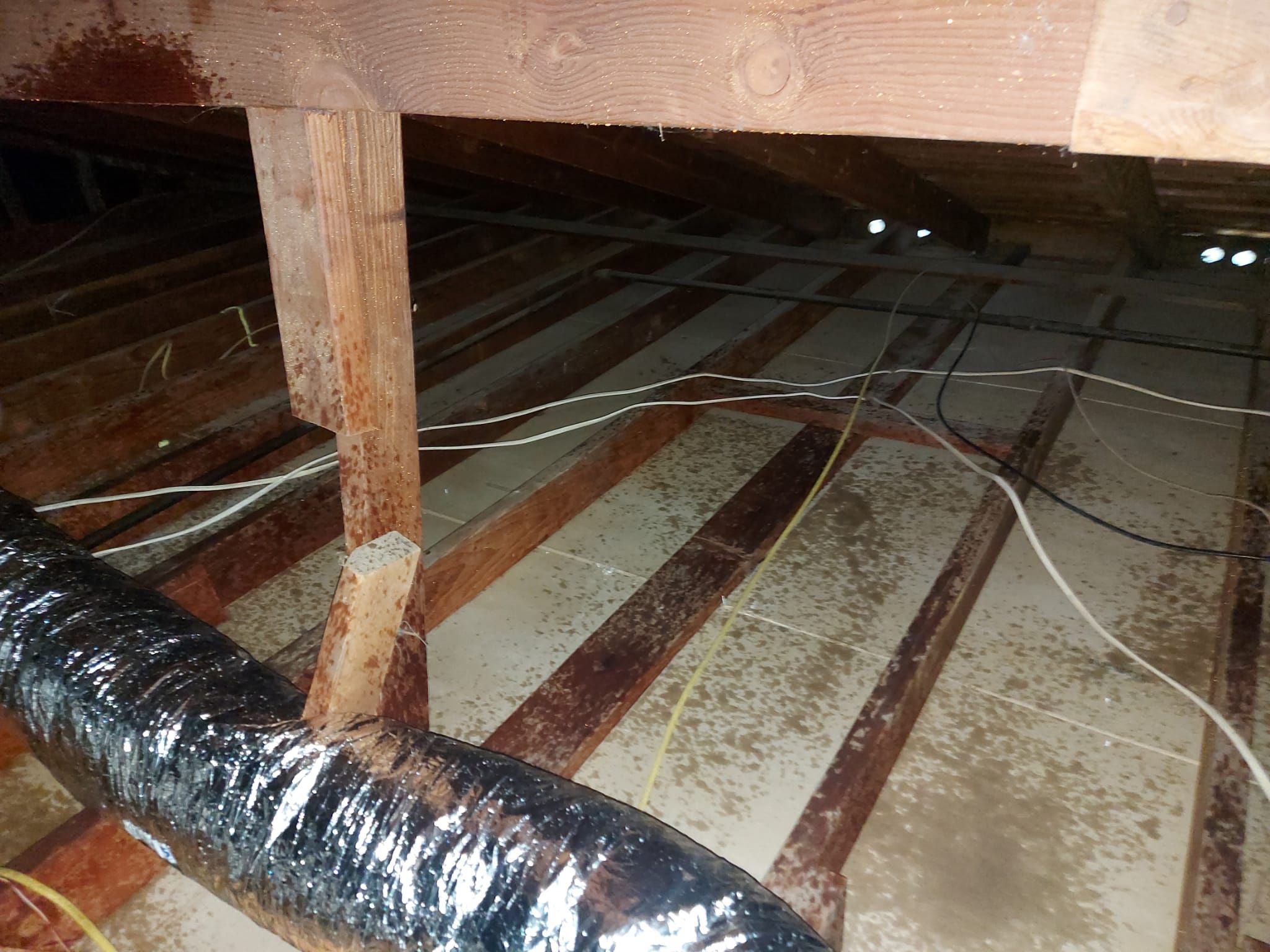 Project in Thousand Oaks by Advanced Attic Solutions