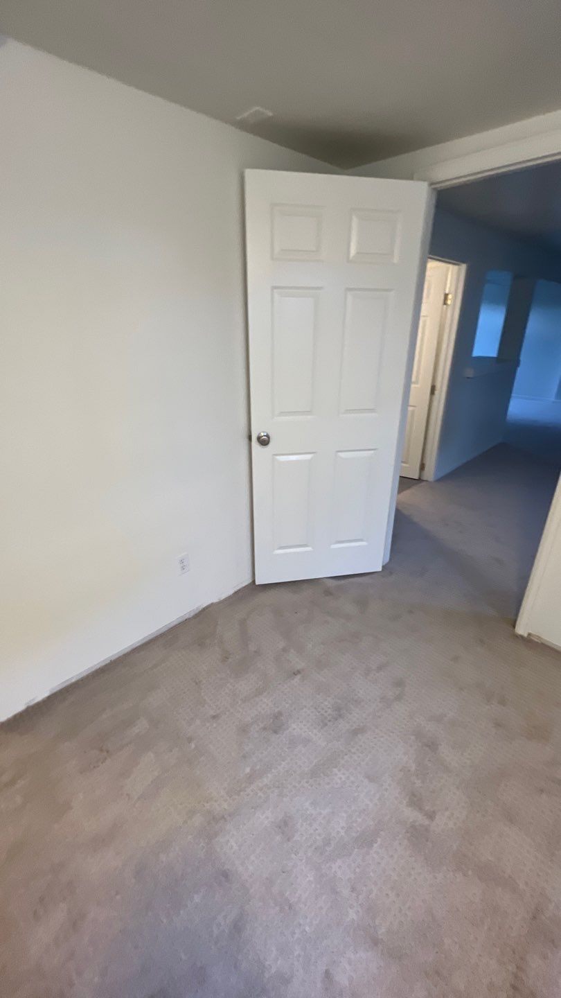 Mold Remediation by Accountable Home Services