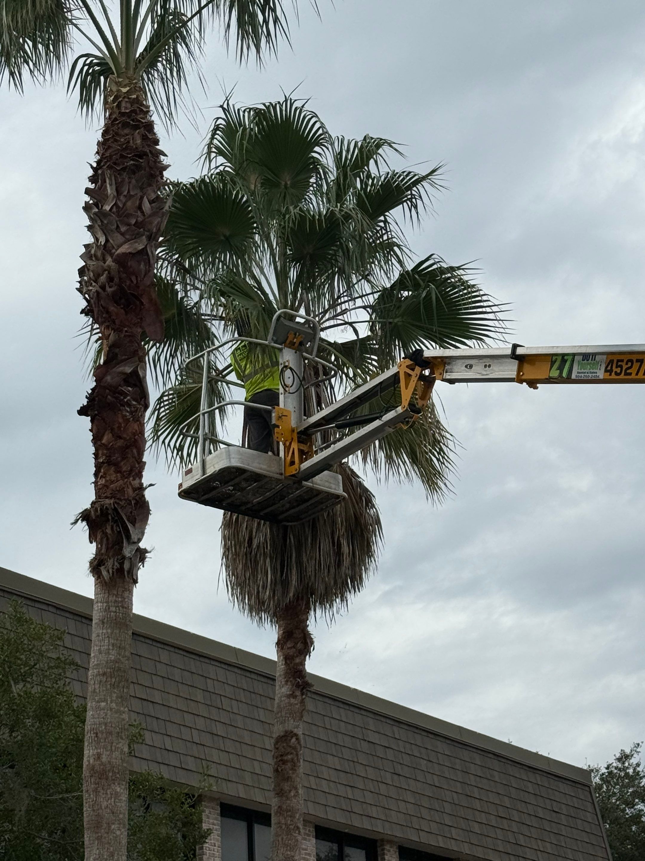 Volunteer Work | Episcopal High School of Jacksonville by ProGreen Services