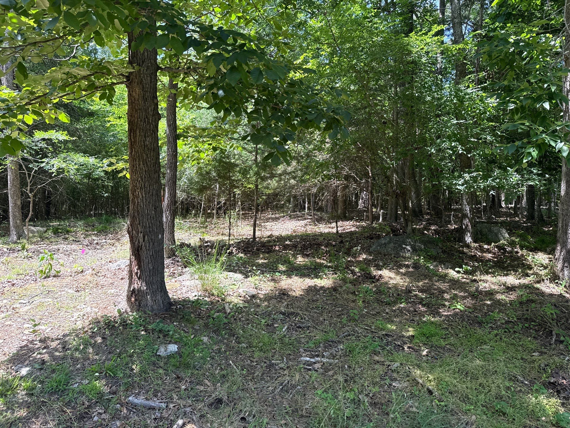 Project in Mint Hill by Badger Hauling