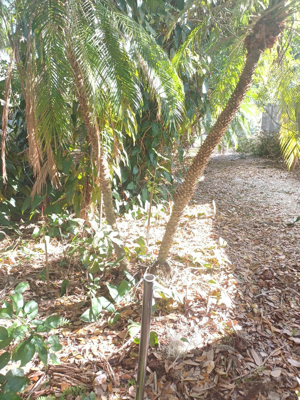 Bradenton, FL 6ft. Tall White Vinyl Privacy Fence  by Asap fence and gates, LLC