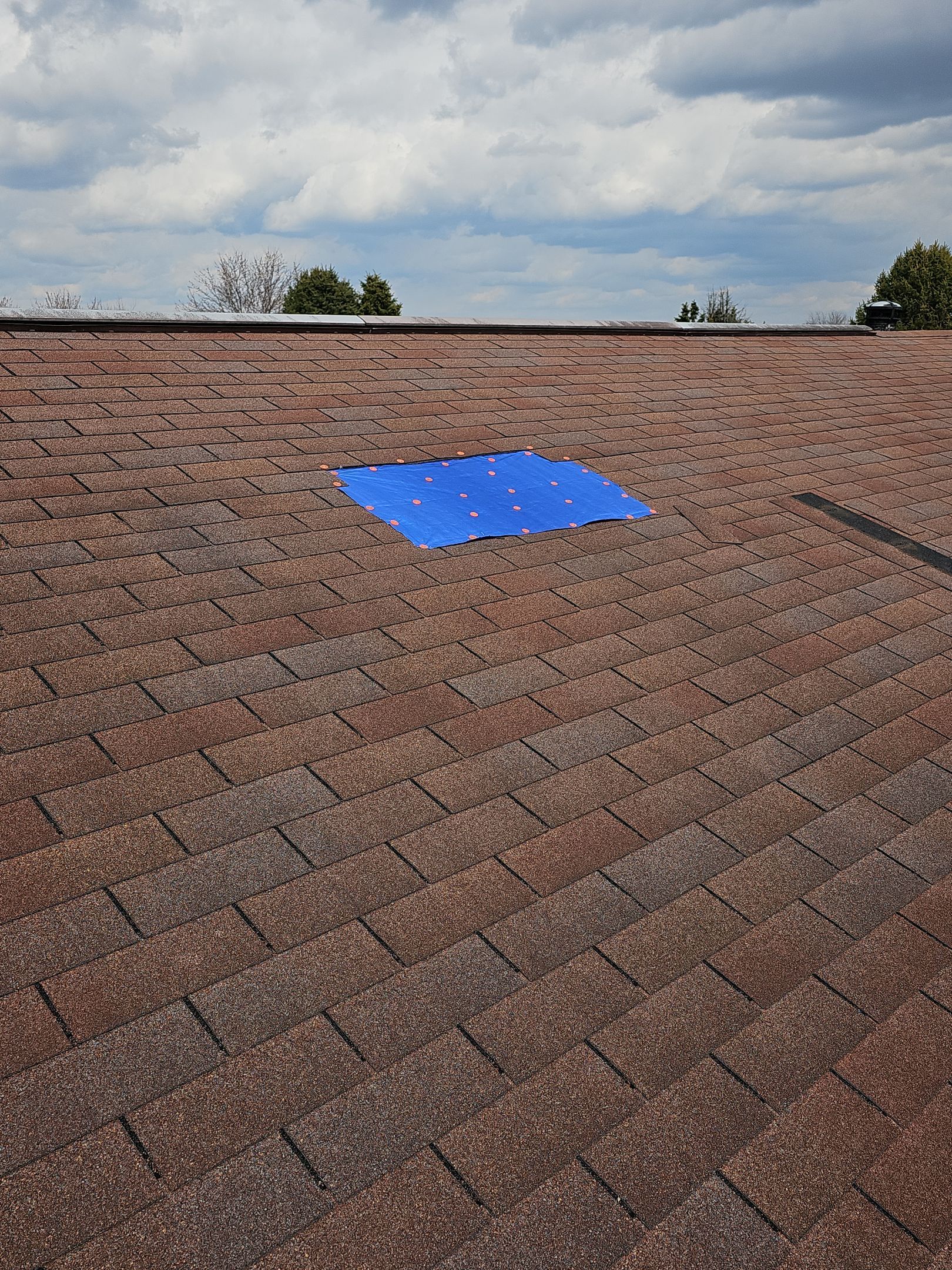 ATLAS PINNACLE COLOR: HEATHER by Eagle Eye Roofing