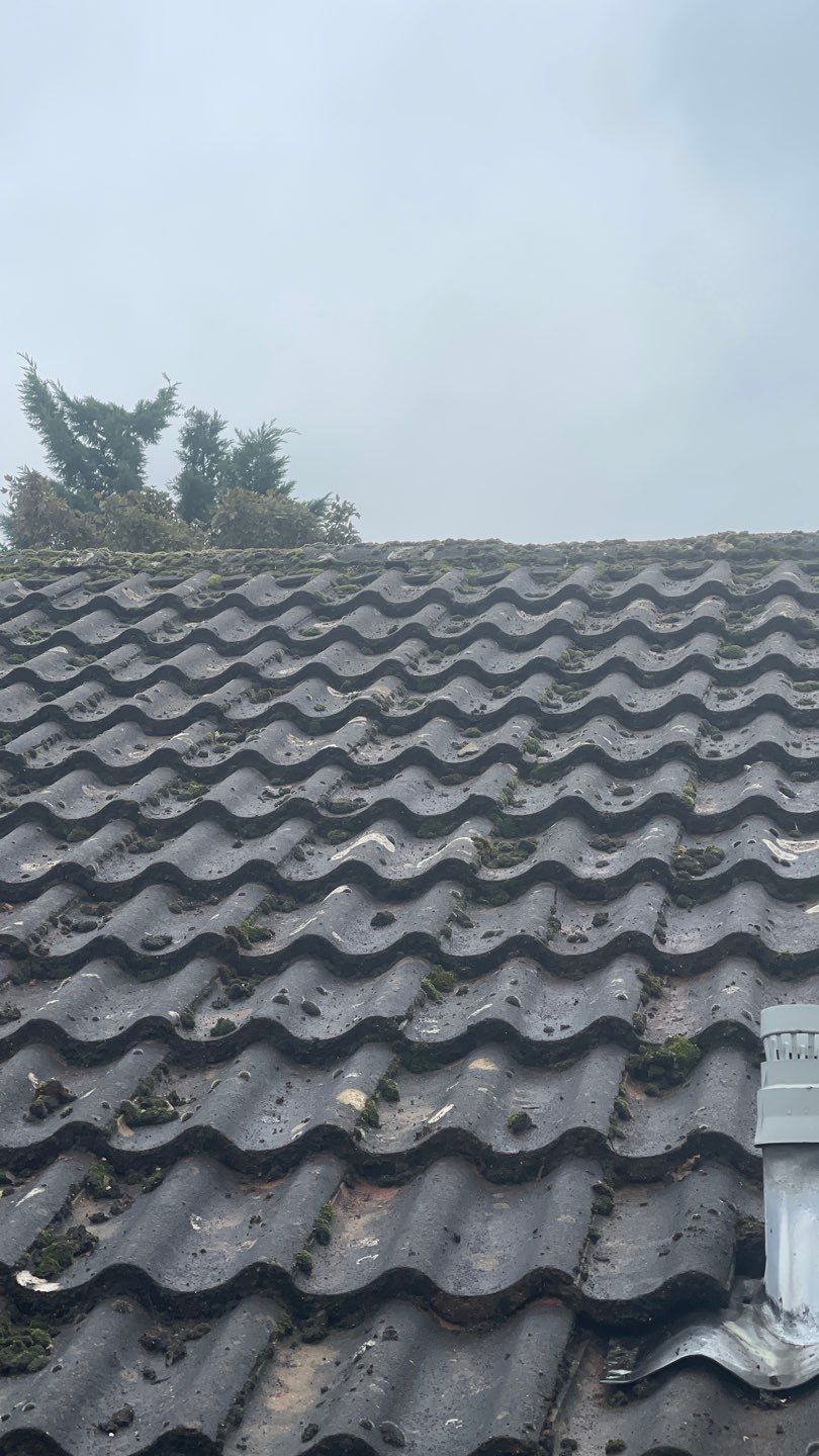 Roof Clean and Biocide Treatment using Honda 15lpm Low Pressure Washing Machine by Ges Exterior Cleaning ltd