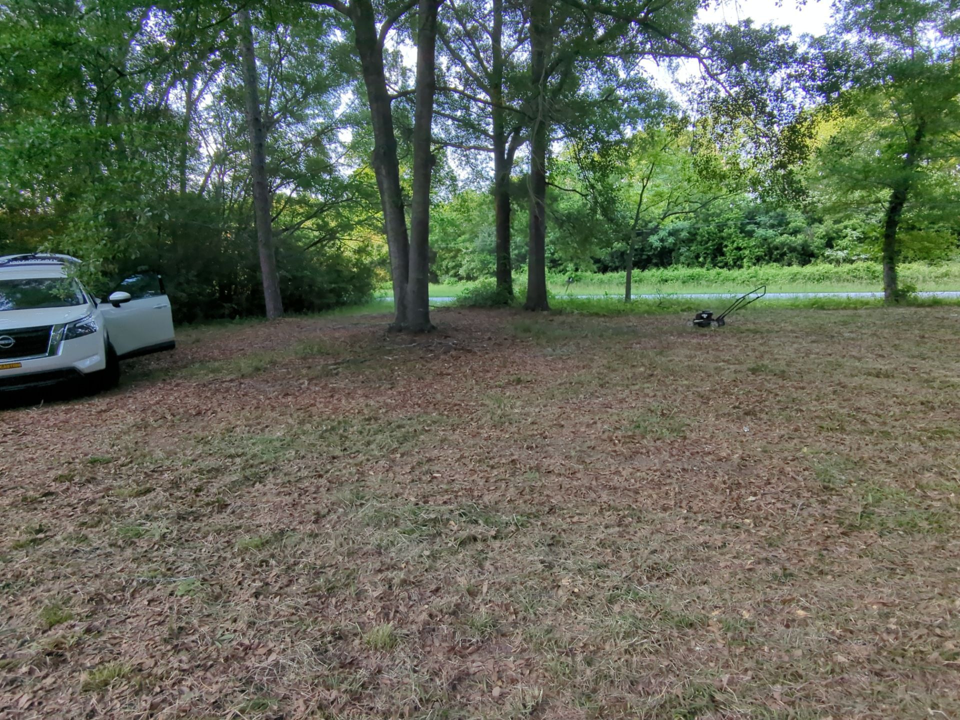 Exterior Clearing - tree trimming - grass cut by Swift Signings and Services LLC