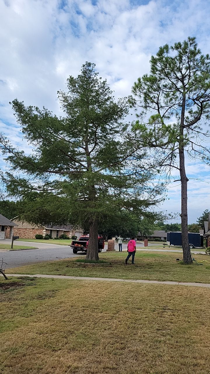 Tree removal , Concrete, Pergola, and sod install  by Clays Services Inc