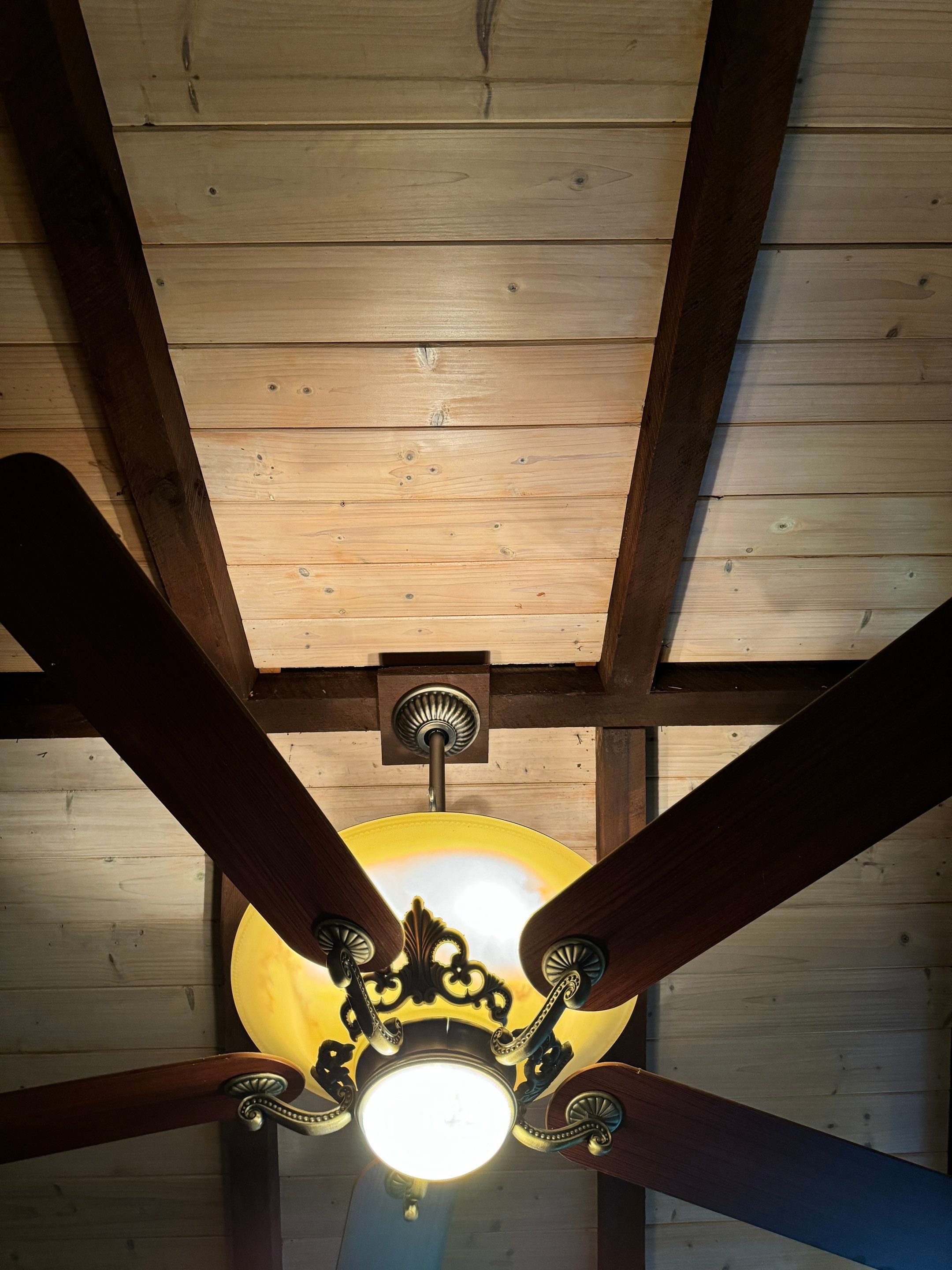 Attic & Sunroom Mold Remediation by Home Guarantee, LLC