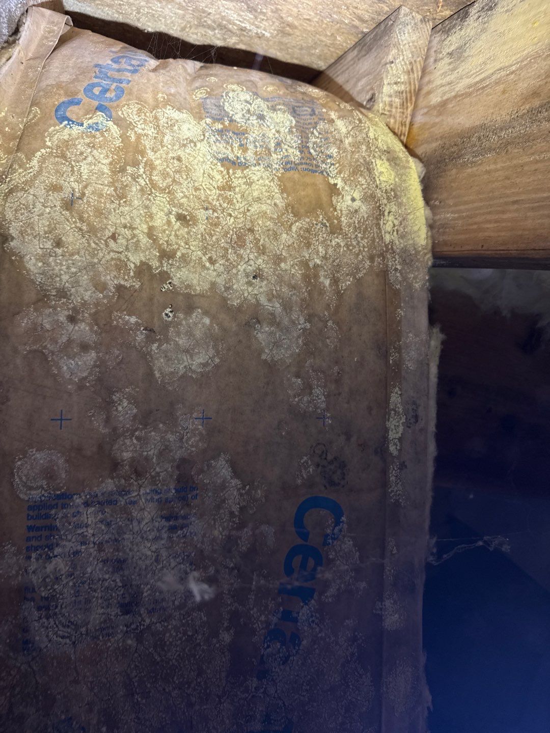 Real Estate Mold Remediation by Healthy Home Solutions