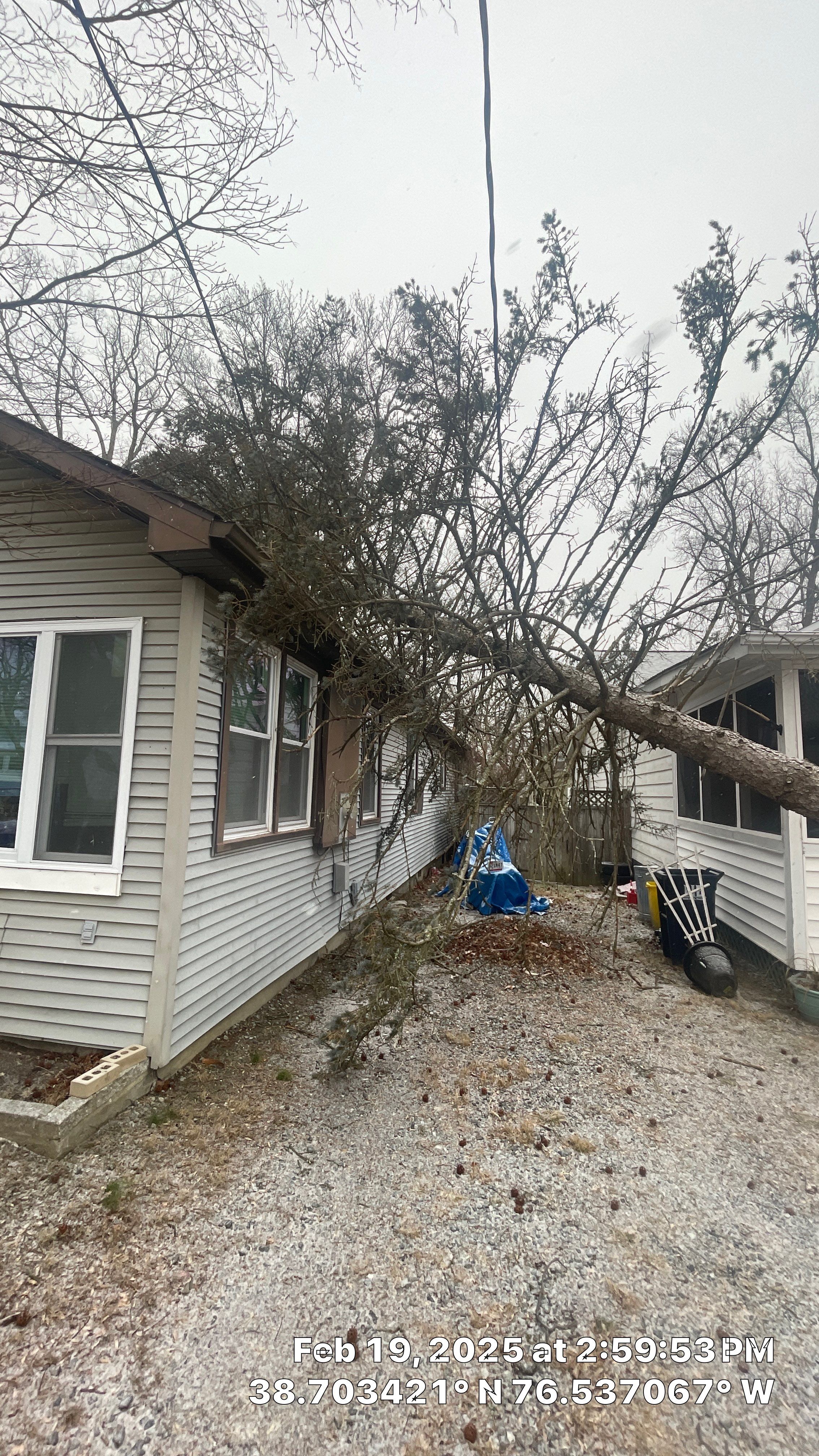 Gutter and roof replacement by Window Depot of Annapolis